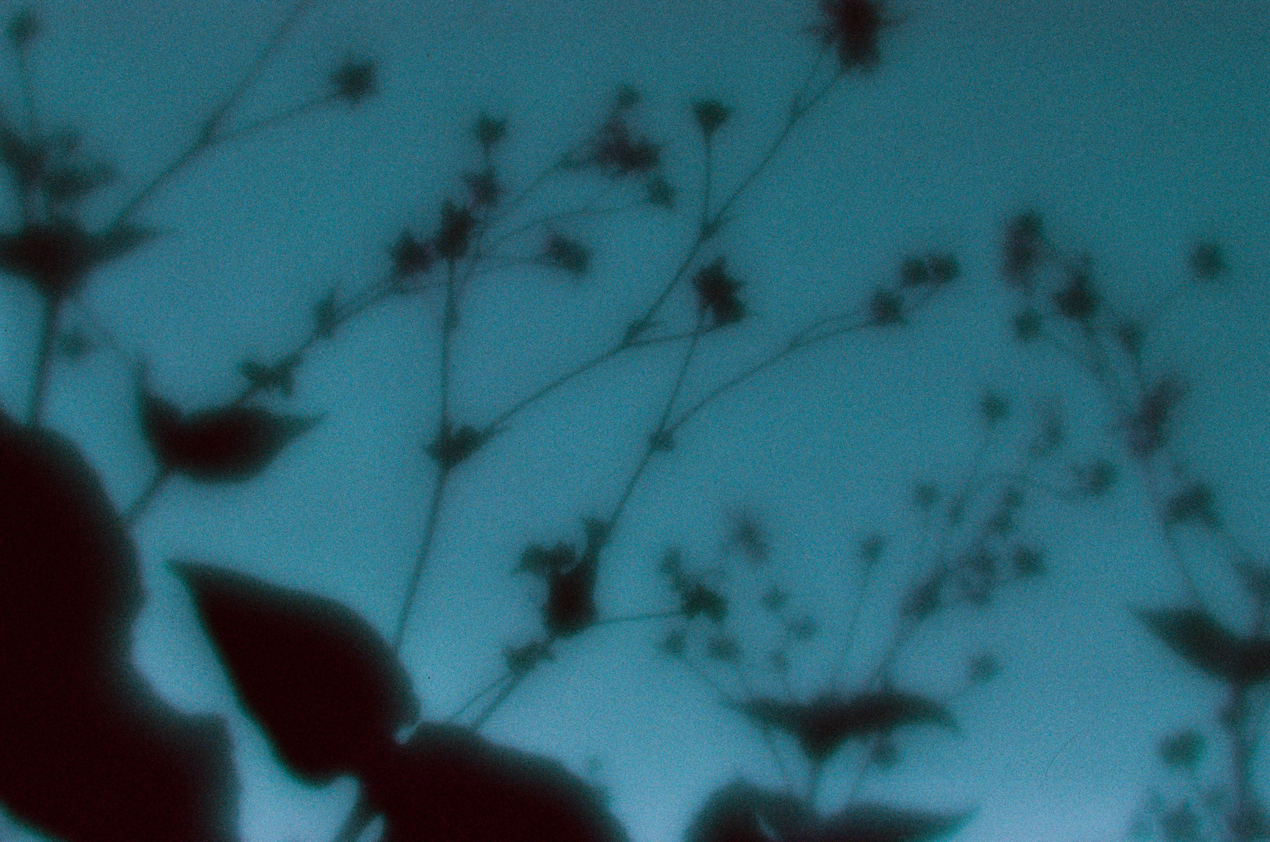 Everything i could never say to you II. EVER EXPOSED