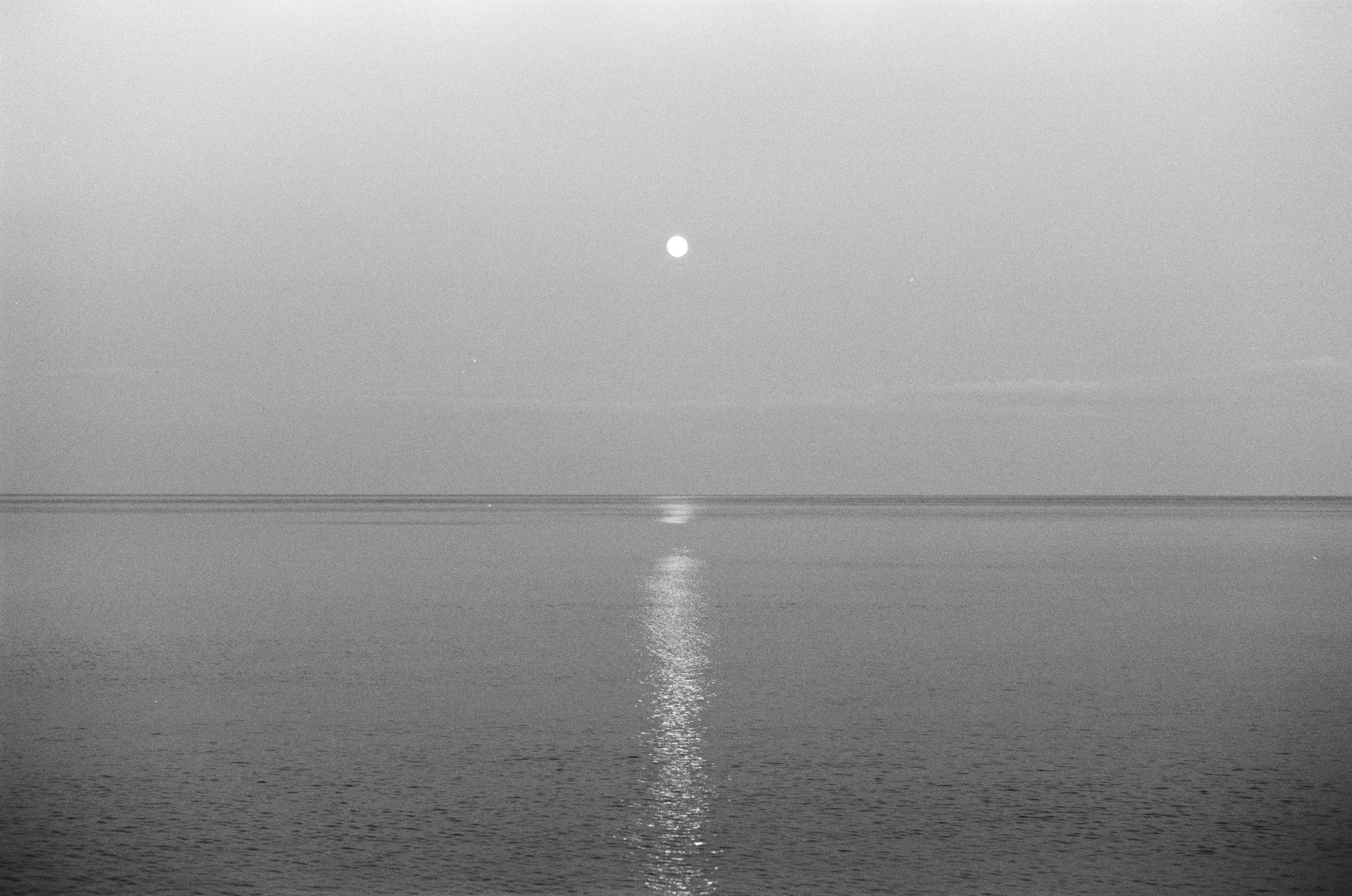 Sparks // ukraine, crimea III. EVER EXPOSED