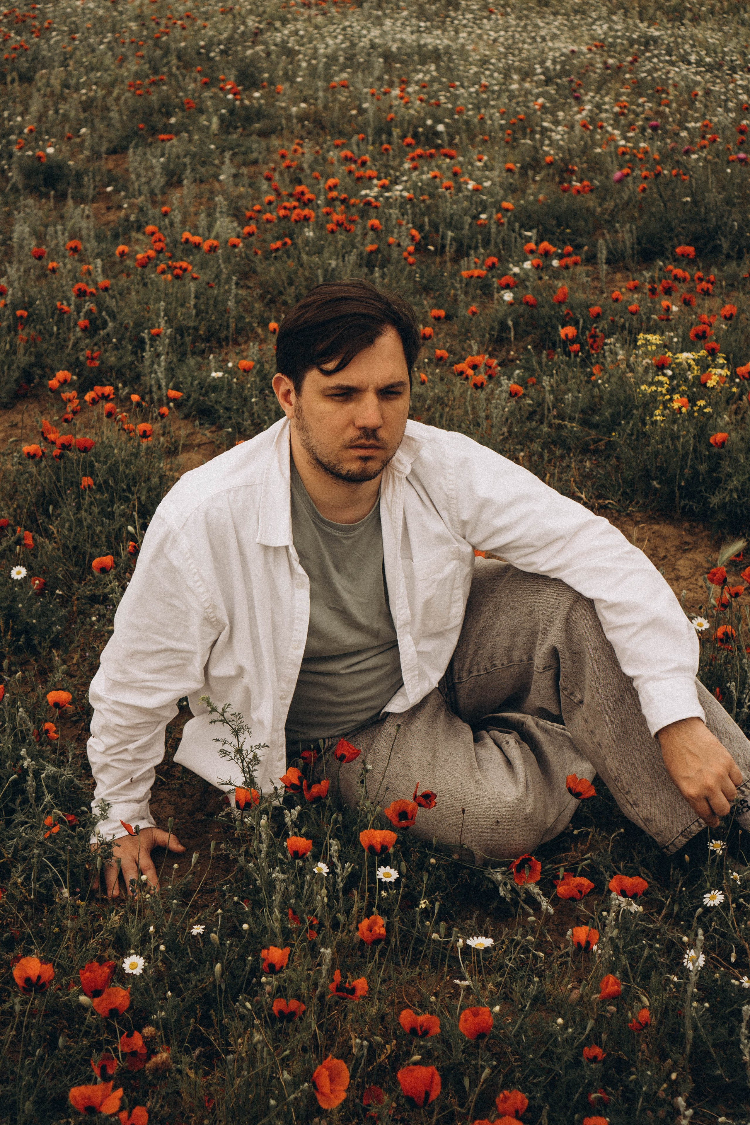 Маки. Профессиональный фотограф, Санкт-Петербург — Виктория Богомолова