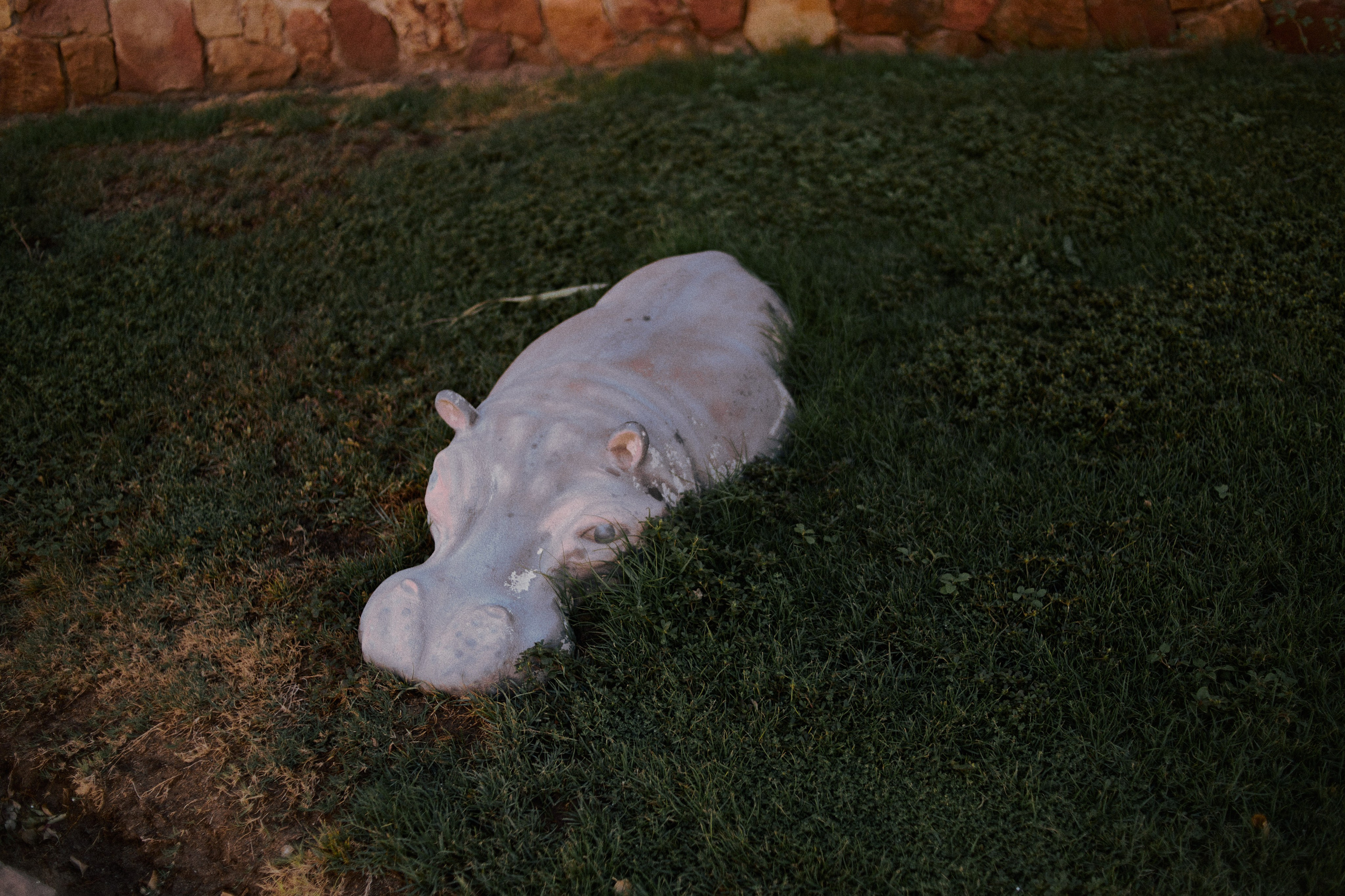 Улица горизонтальная. Jorgis — фотограф в Хургаде / обучение фотографии