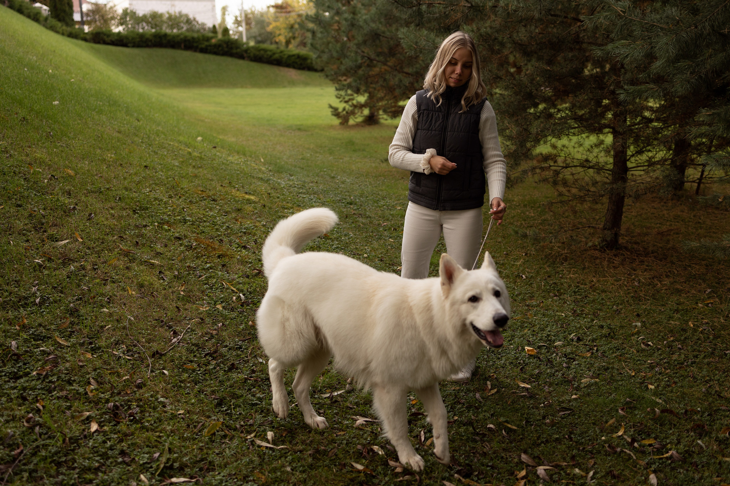 Алина и Райден. Фотограф — Анималист Наталья Тямушева