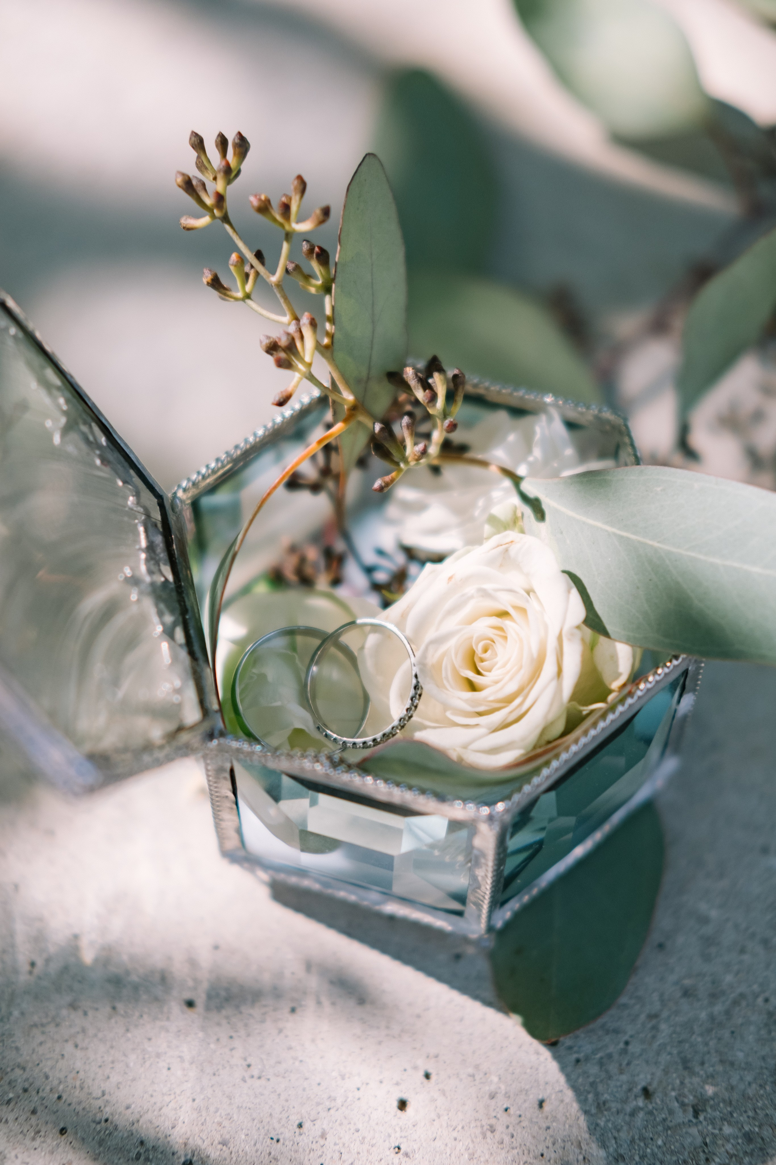 Ника — Tivat Montenegro. Свадебный Видеограф Фотограф в Сочи