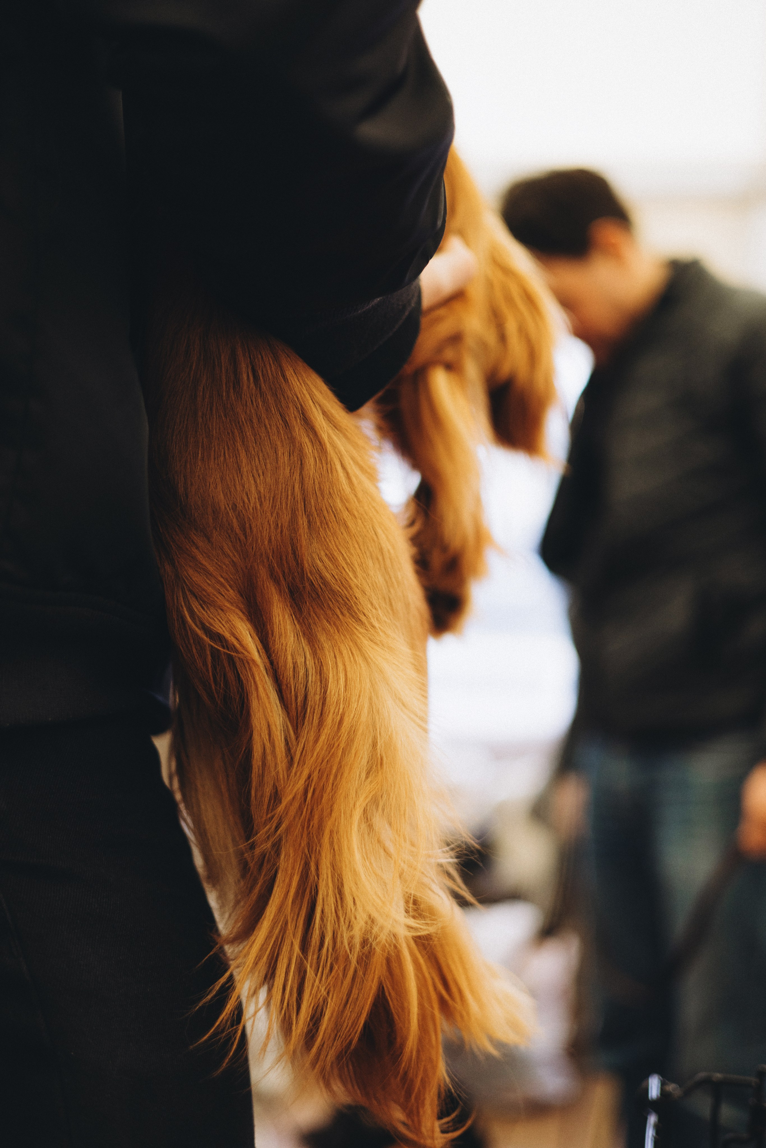 Встреча ККЧС. Фотограф анималист Осипчикова Мария