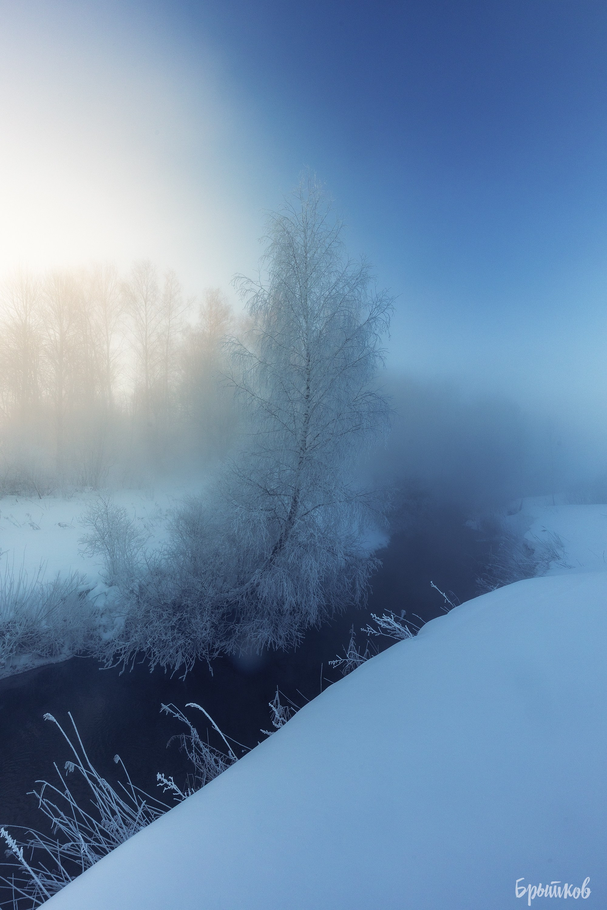 Ручей Деготня. Николай Брытков — фотограф в Туле