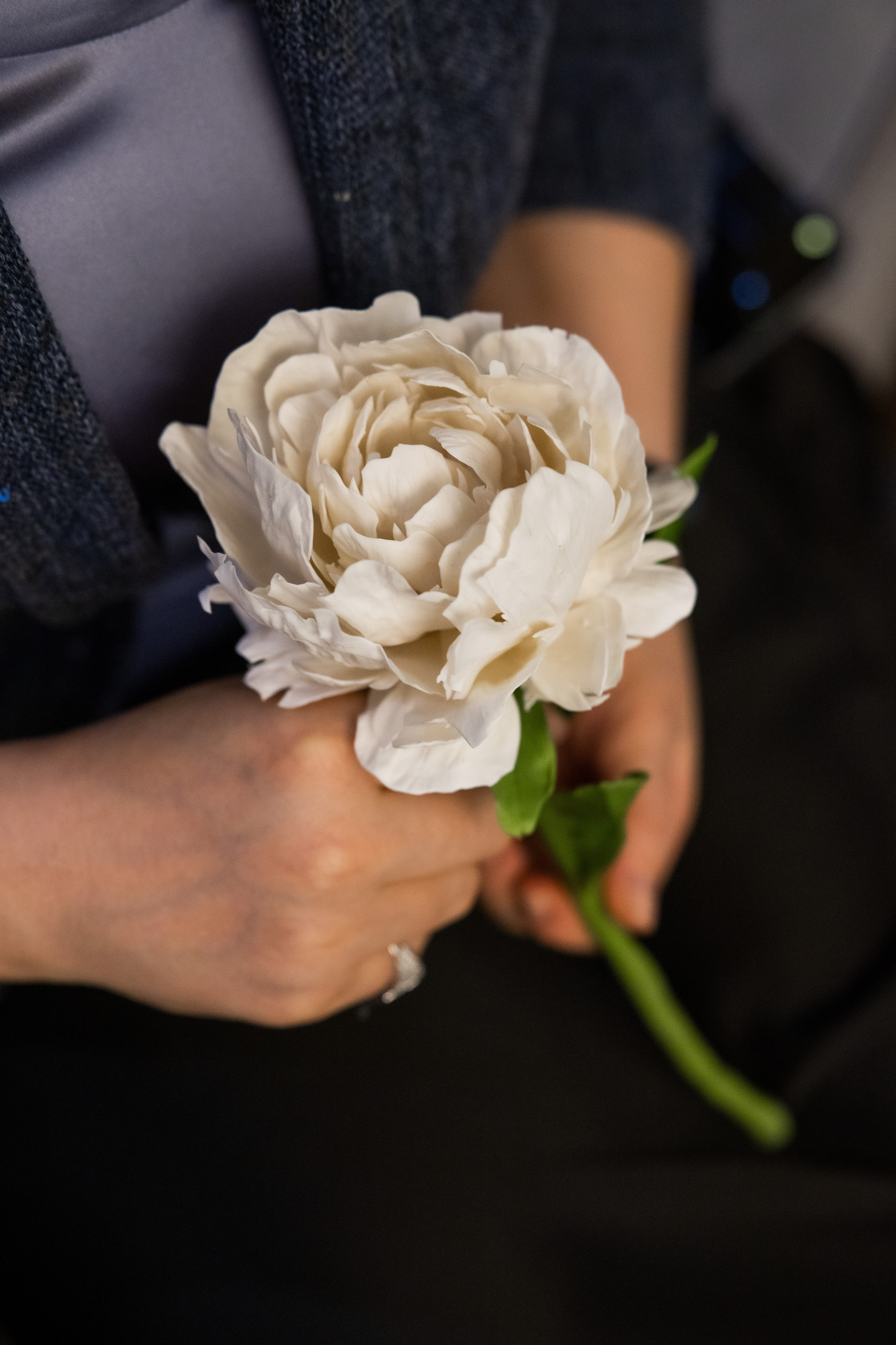 Арт-встреча. Балерины Дружат. Главная