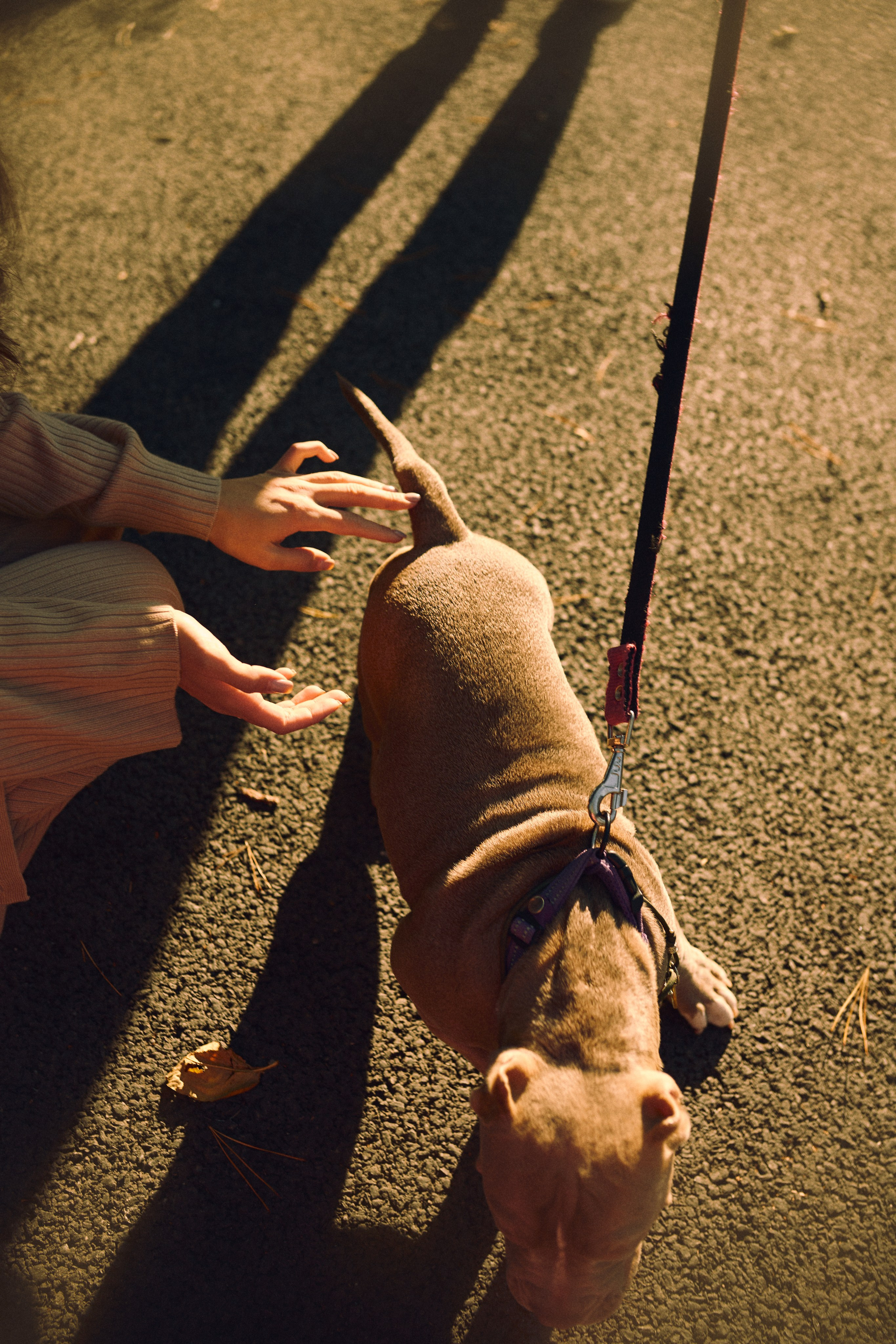 Парк осенью. Фотограф Ионова Анастасия, г Владивосток