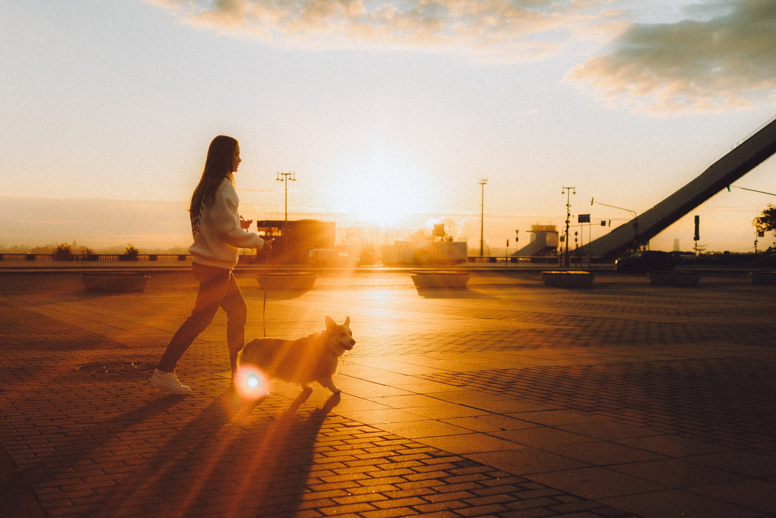 Пуговка и ее семья