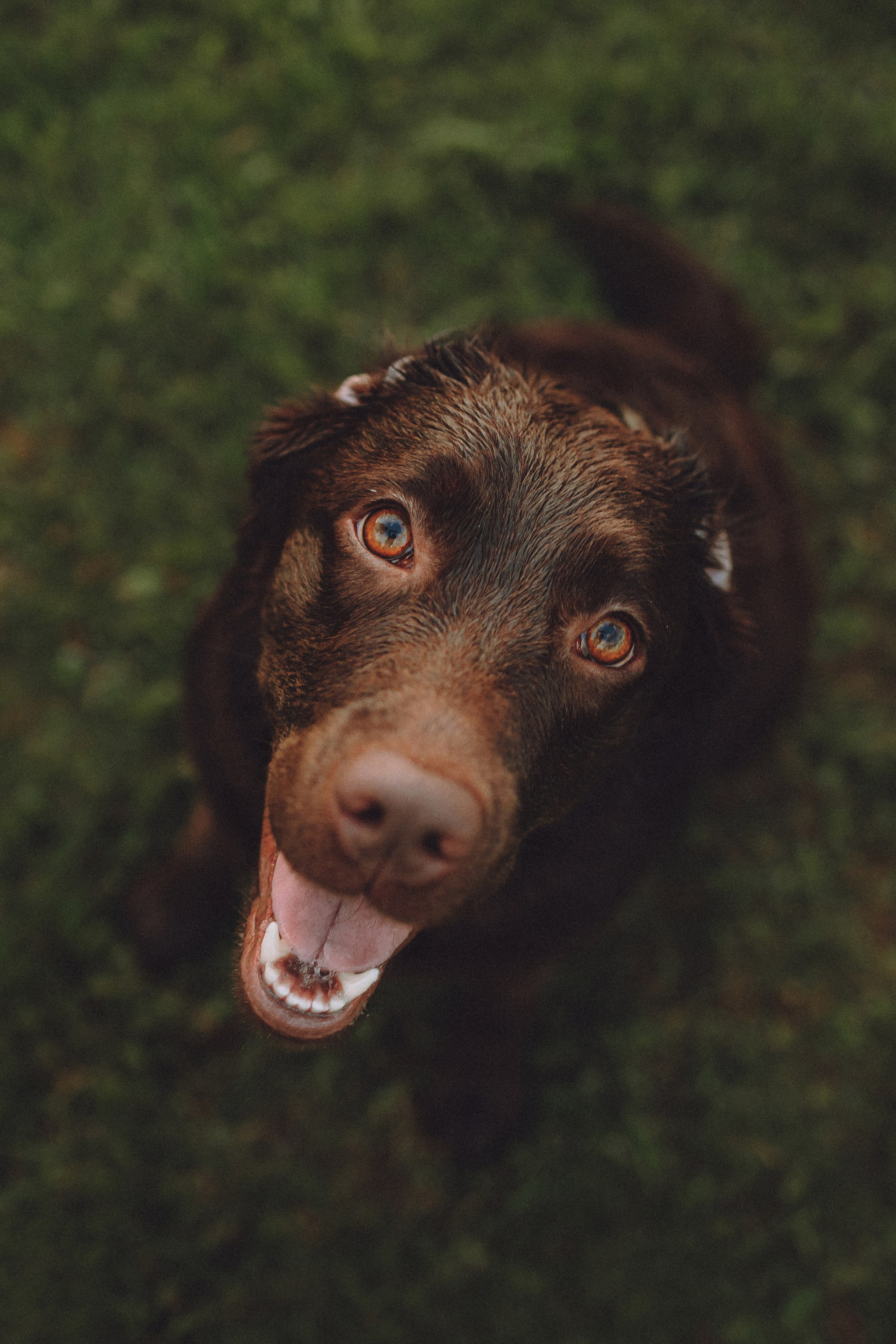 Катя, Ваня и Джеси