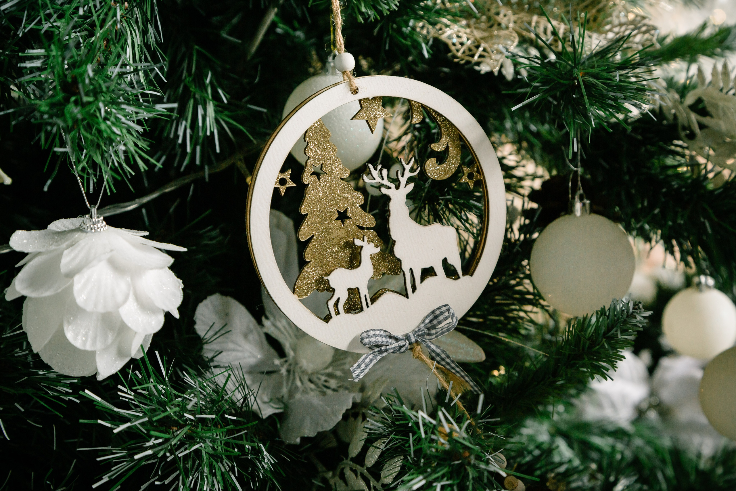 Новогодняя фотосессия. Фотограф в Туле и области Константин Гудовичев