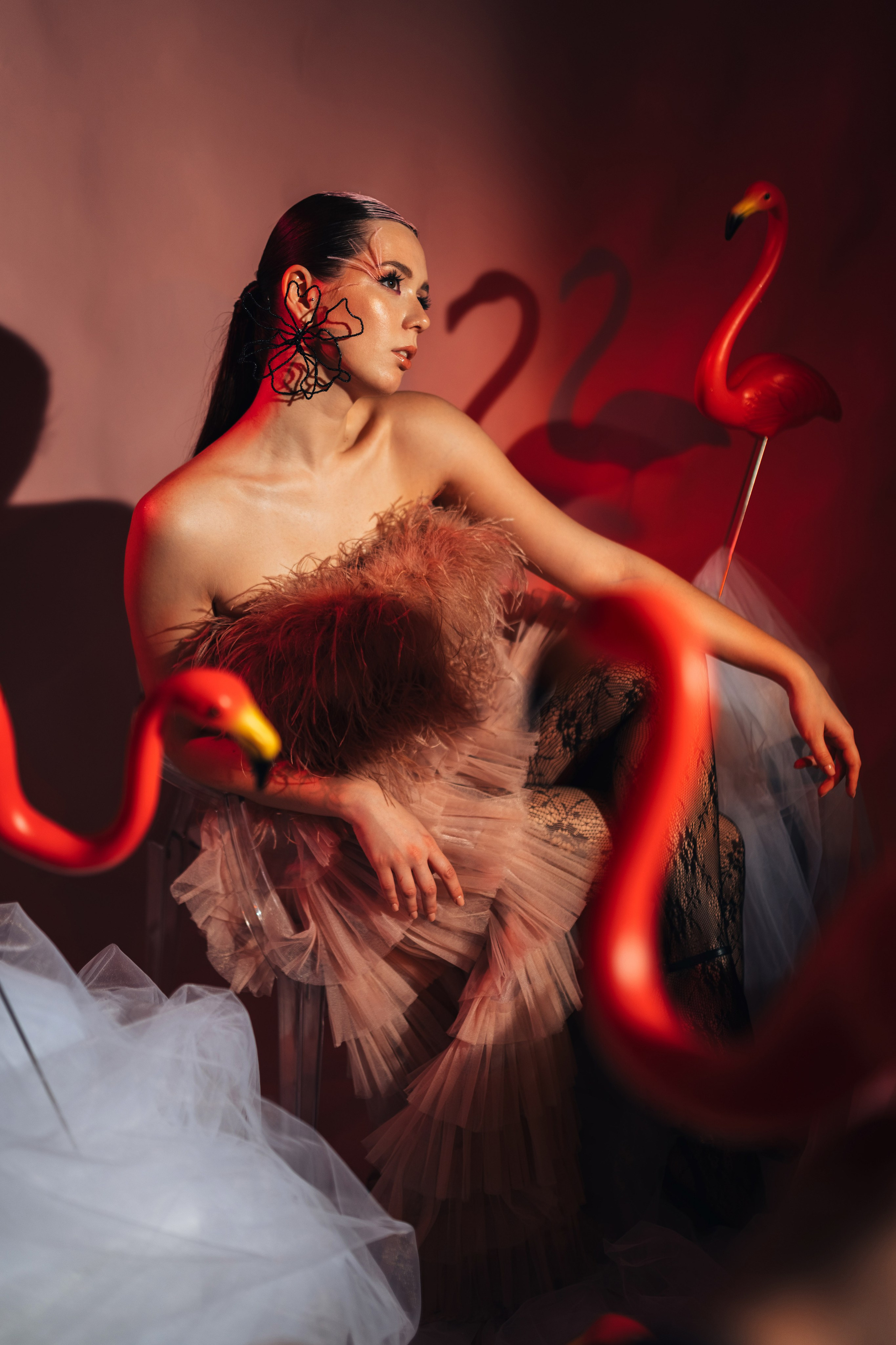 Автор Елена Родионова - Фламинго