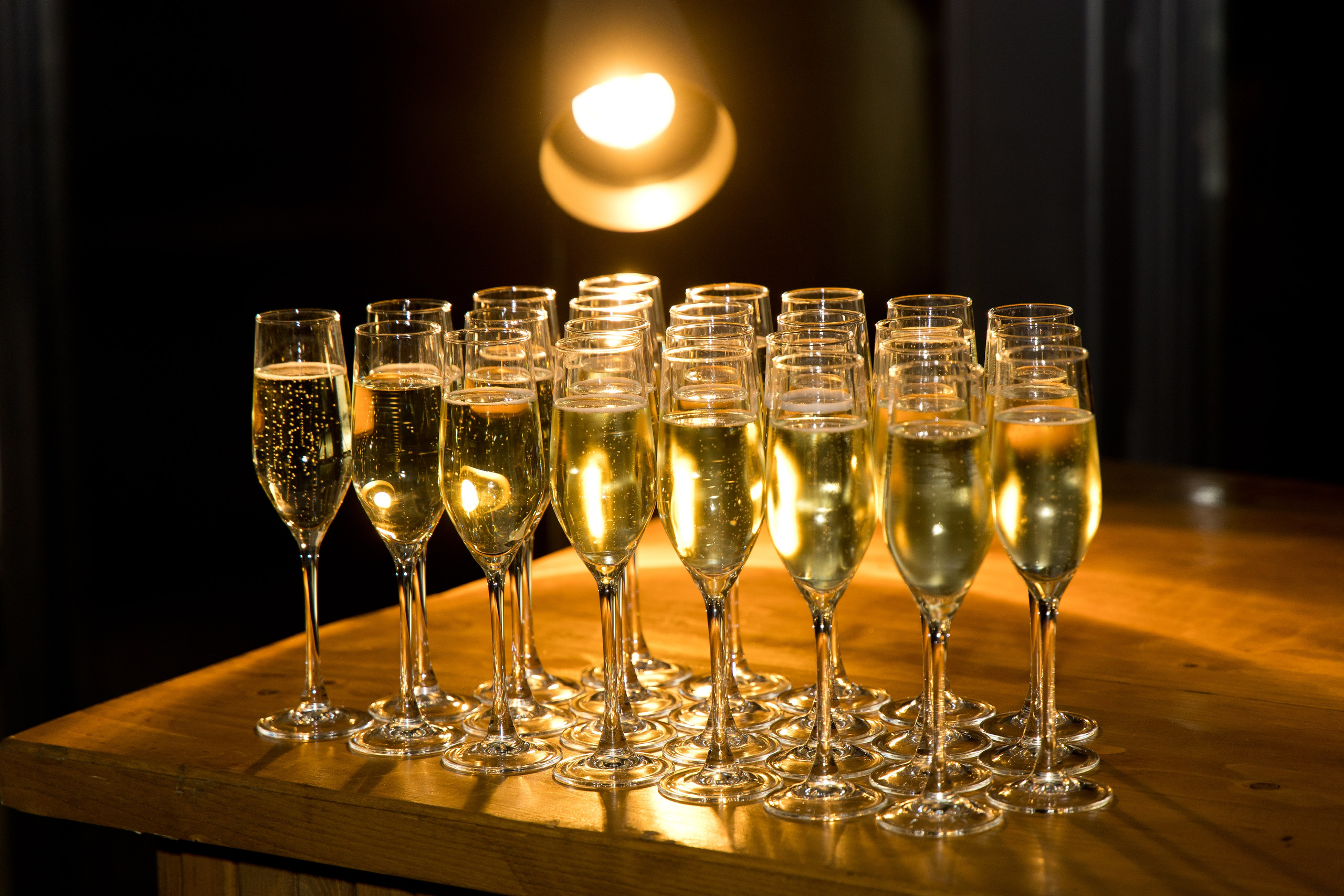 Корпоратив. Photomantis