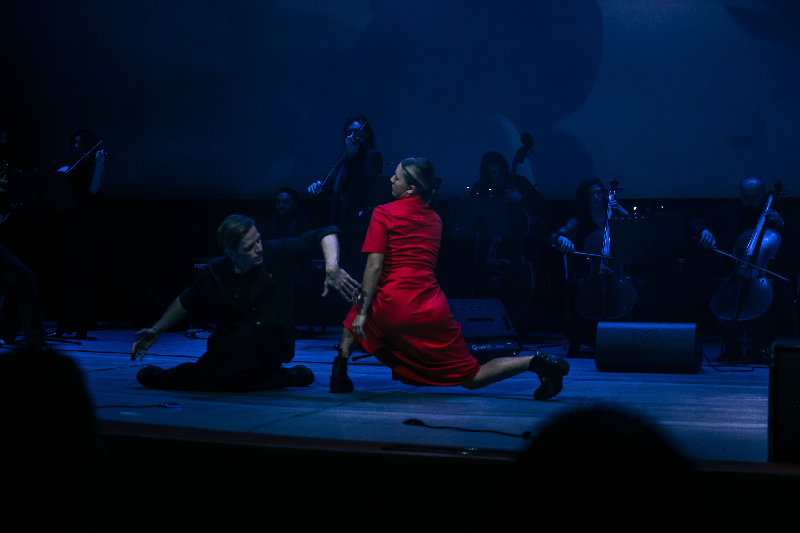 Концерт оркестра Cinematica. Репортажный фотограф в Новосибирске