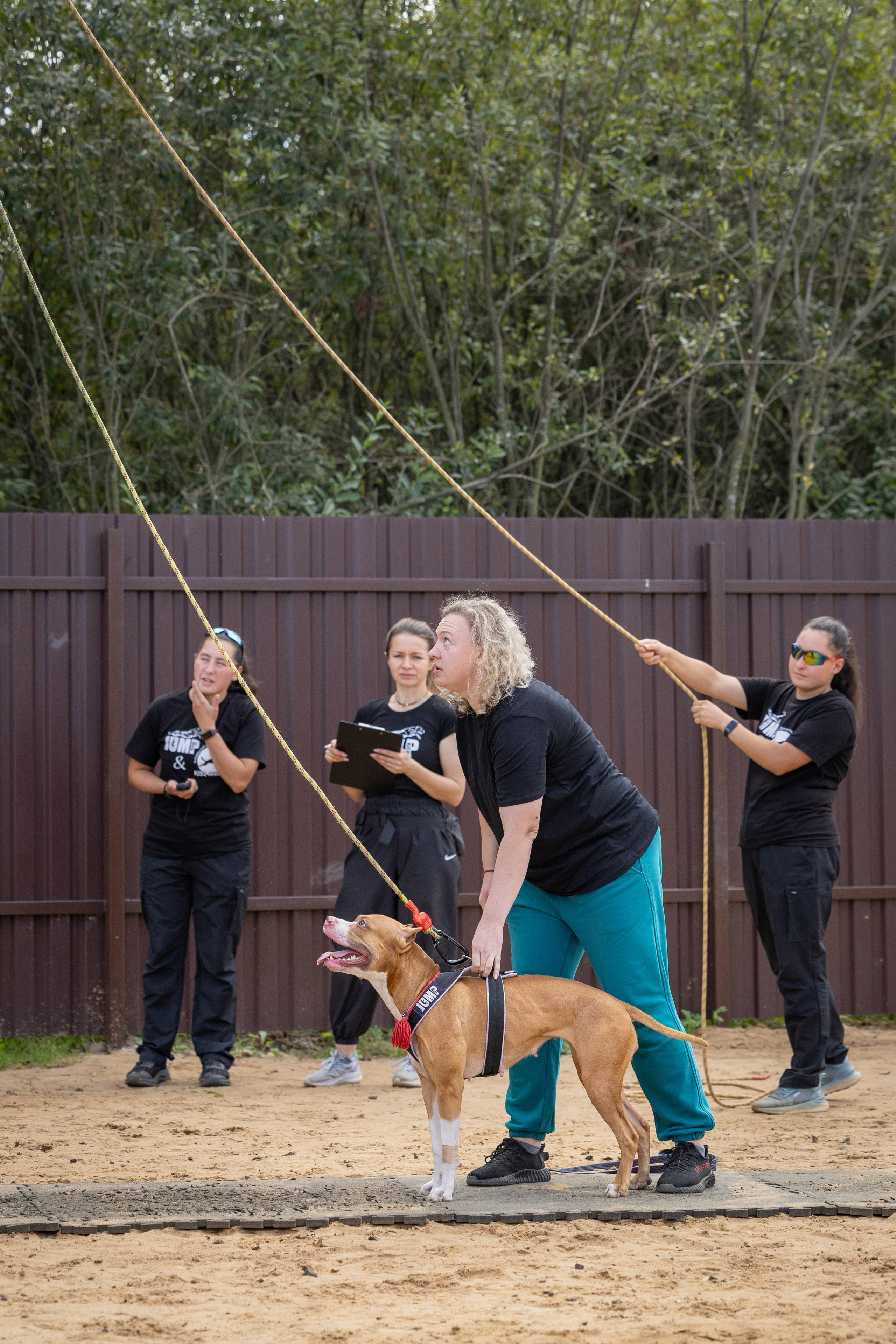 Jump'n'Gym. Виктория Михайловская. Фотограф-анималист. Москва