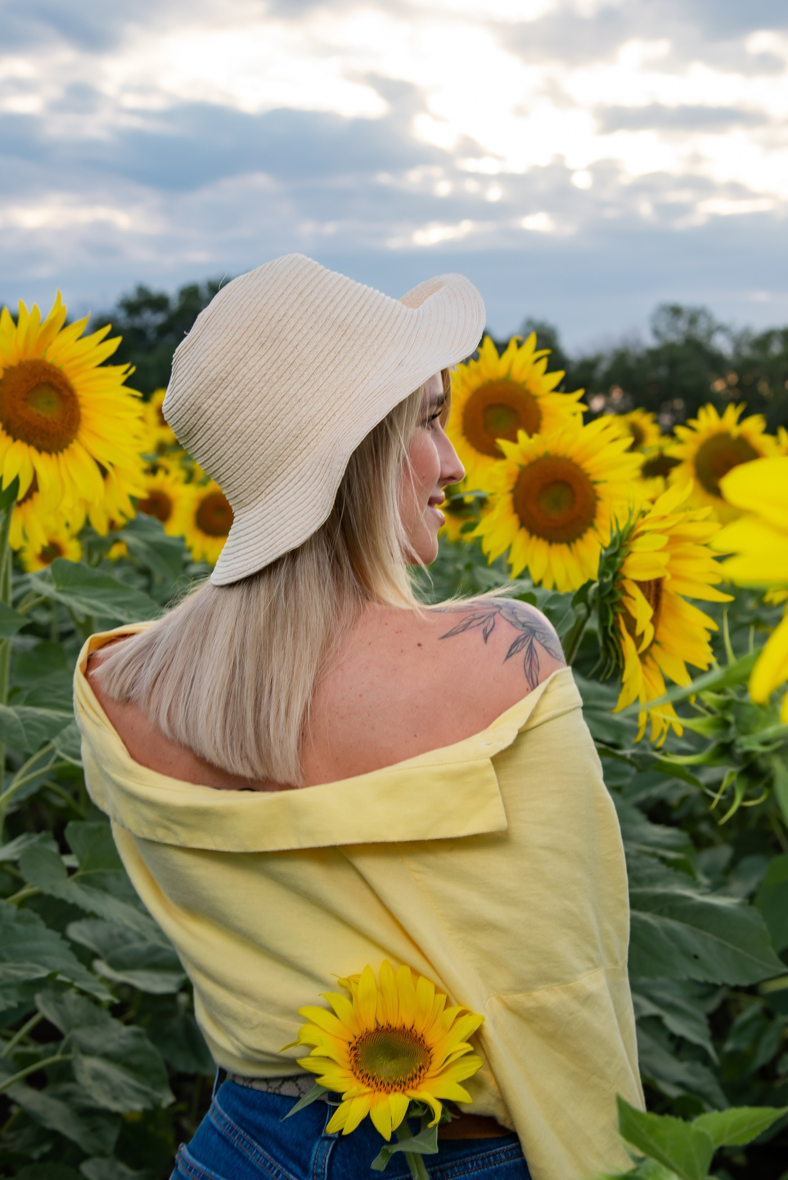 Подсолнух. Фотограф Галина Нестерова