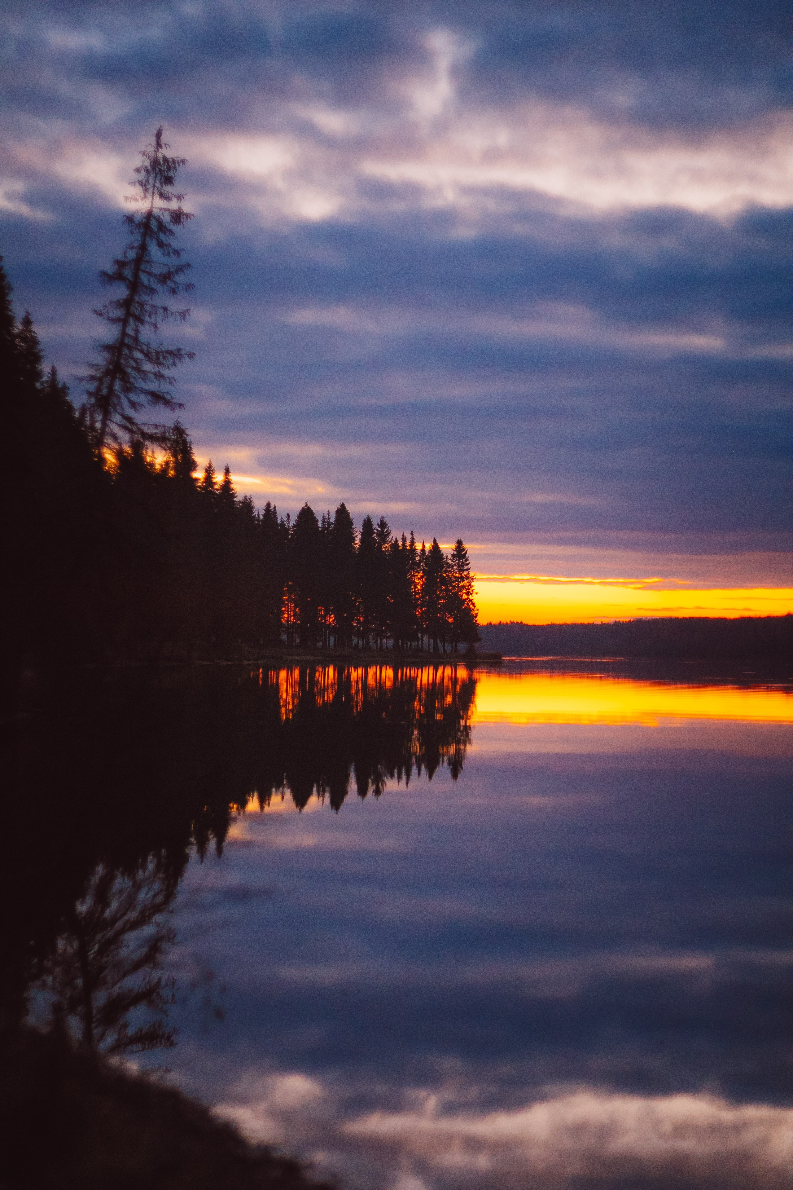 Средняя полоса. Свадебный и репортажный фотограф в Ярославле и Санкт-Петербурге Роман Микрюков