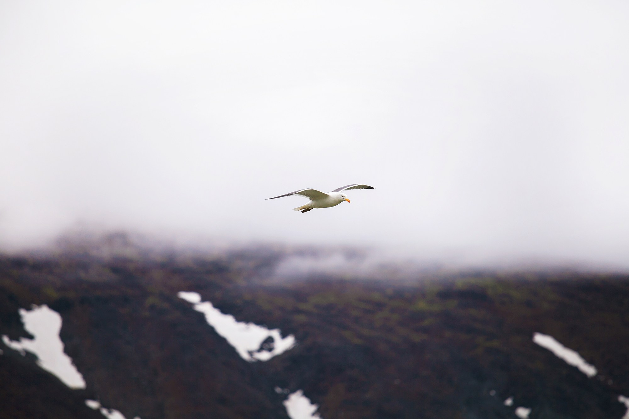 Полярный Урал. Свадебный и репортажный фотограф в Ярославле и Санкт-Петербурге Роман Микрюков