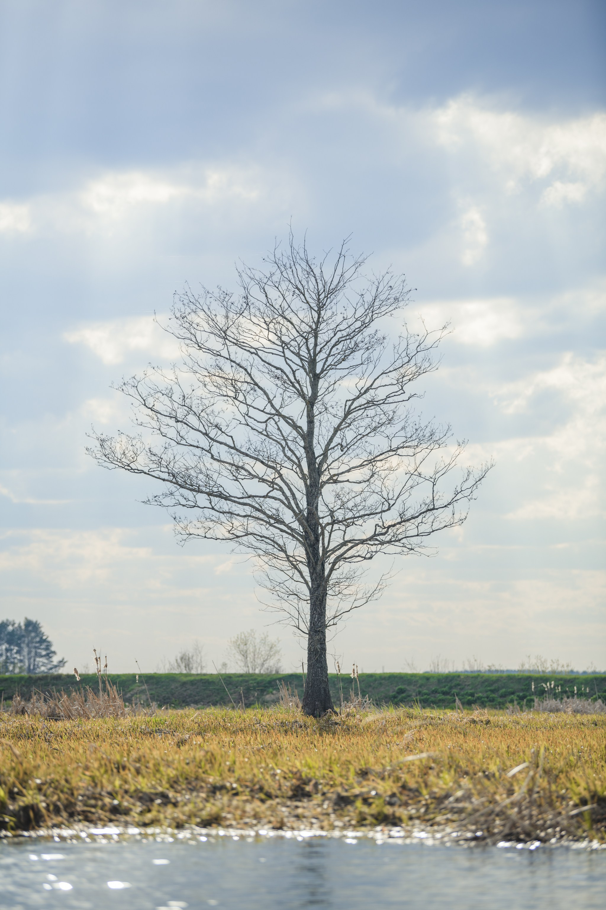 Водный поход 1-й кс по реке Случь. Репортажный фотограф Владимир Беляй