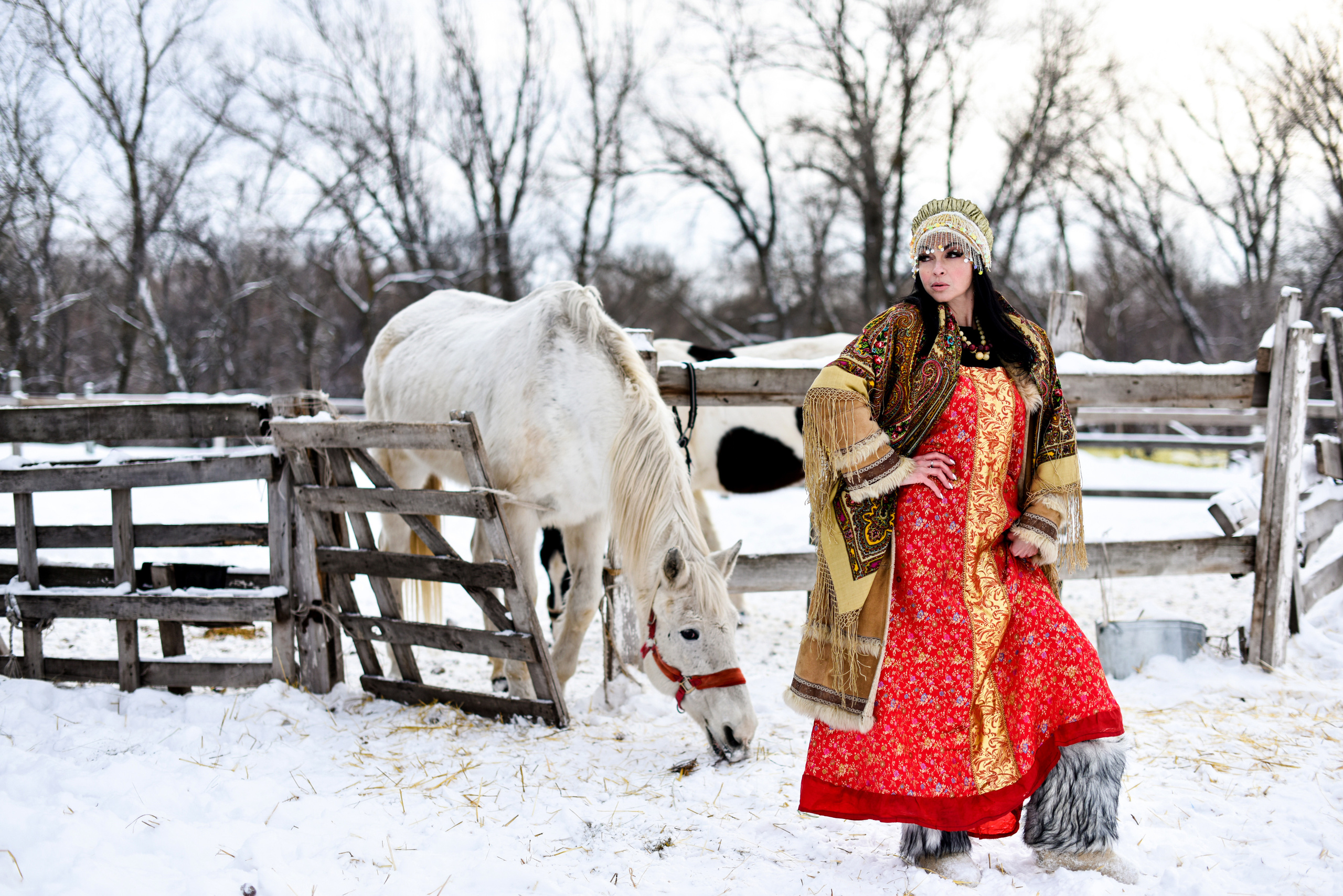 Юля и Лошадки