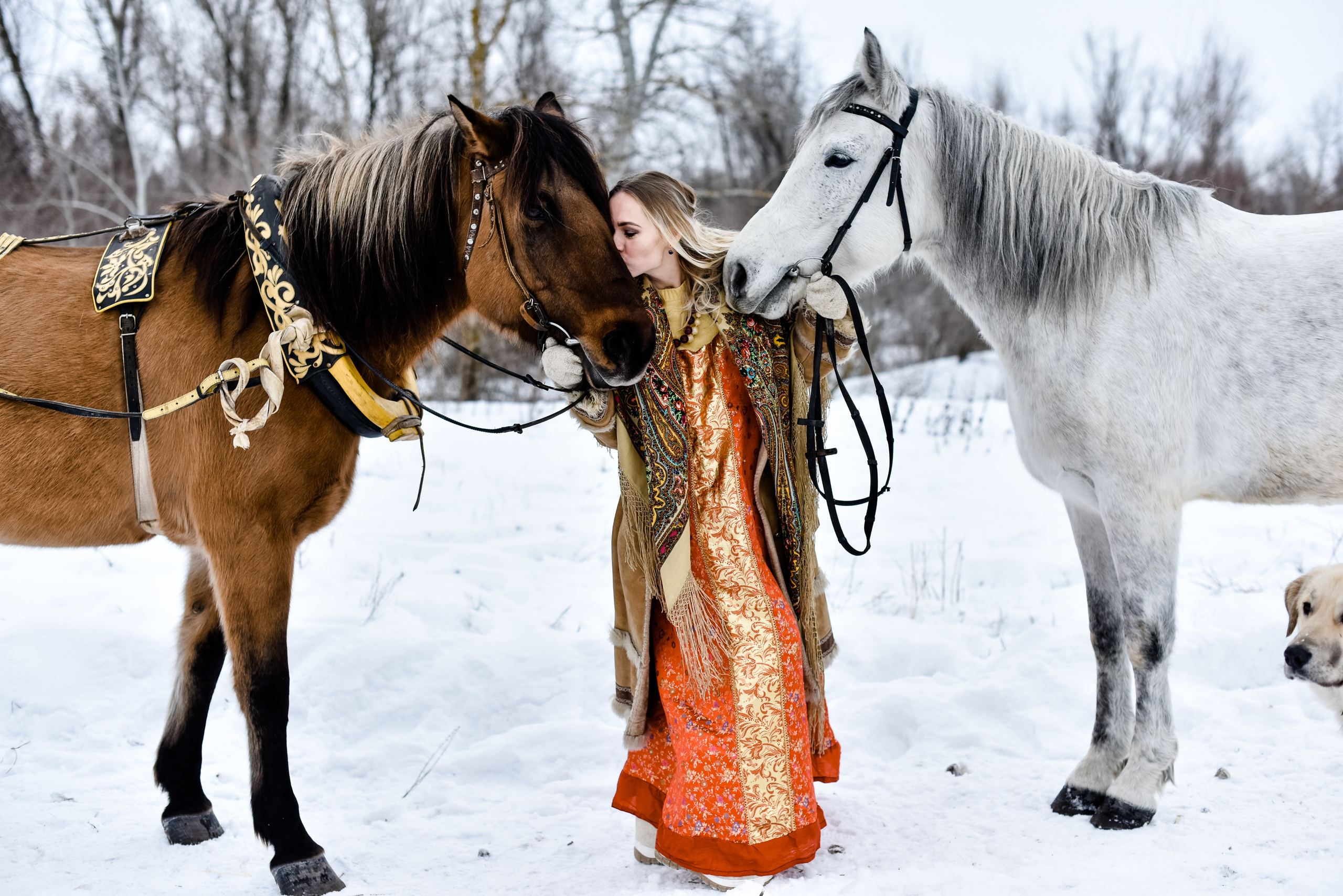 Анна и лошадки