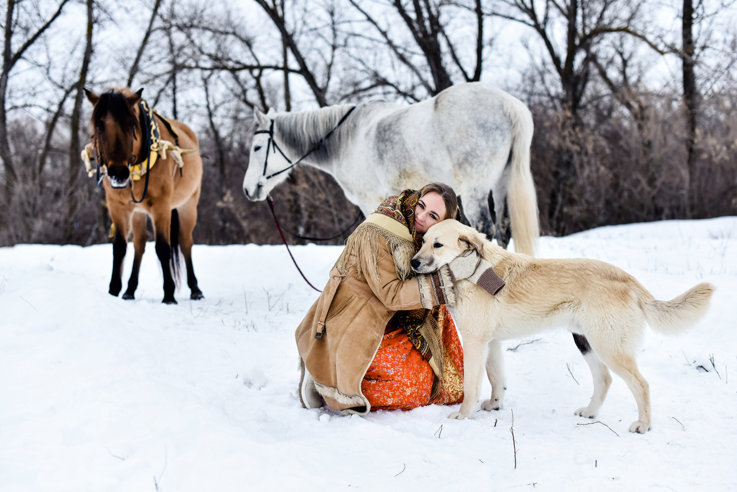 Анна и лошадки