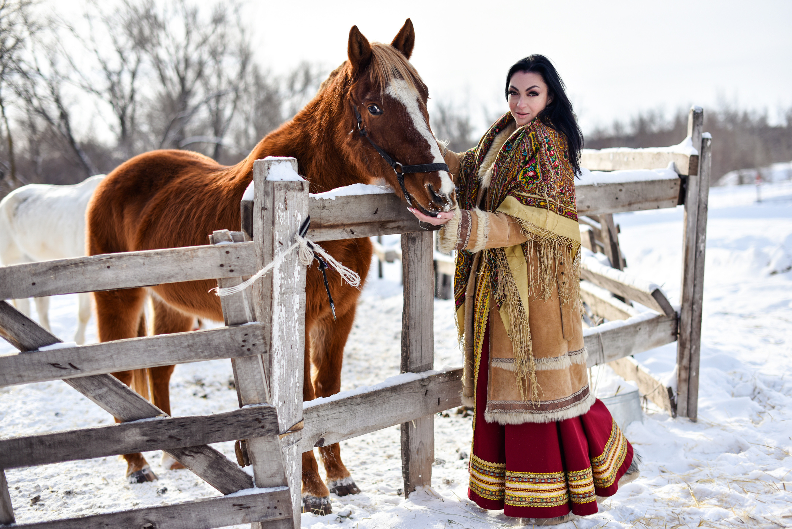 Юля и Лошадки