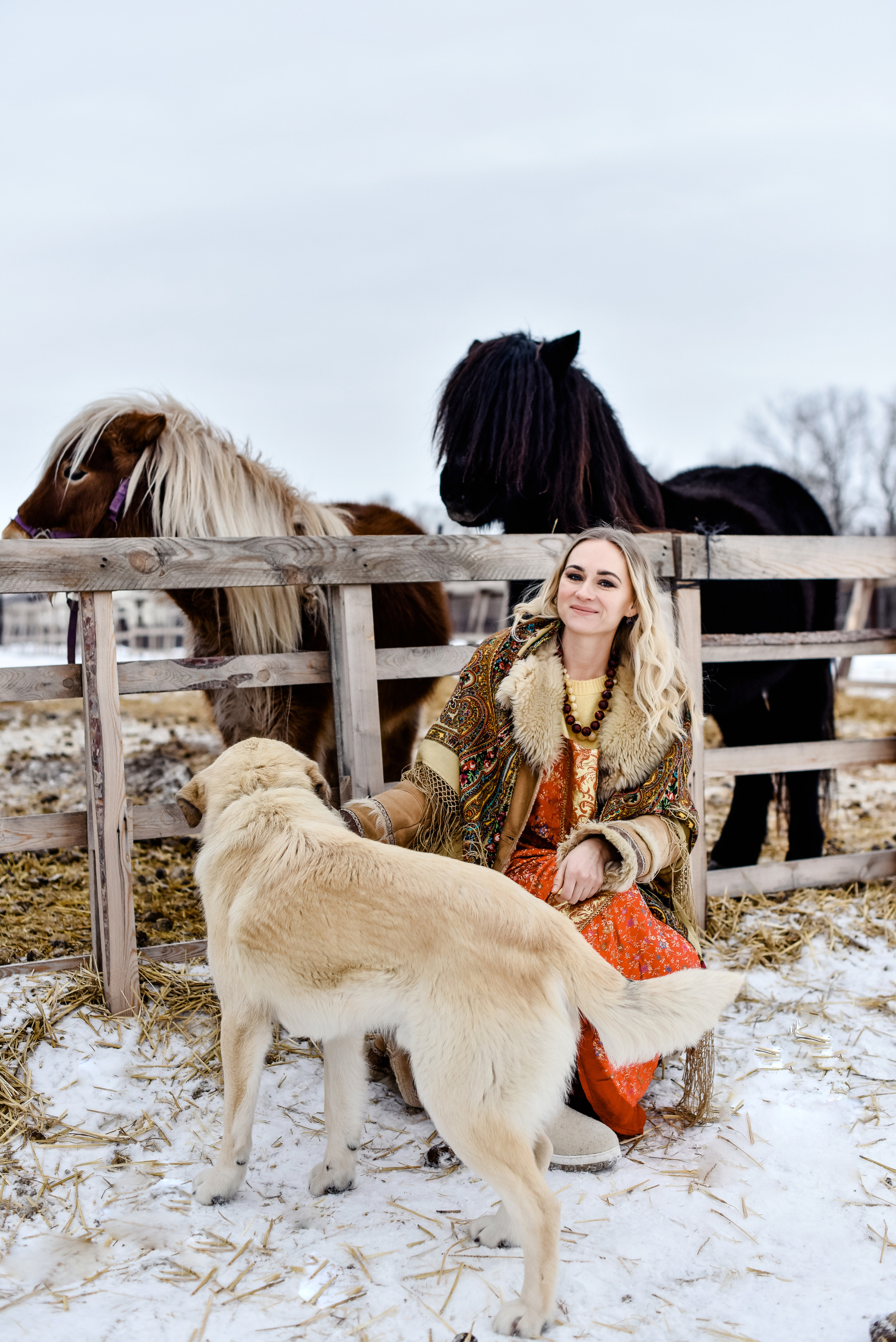 Анна и лошадки