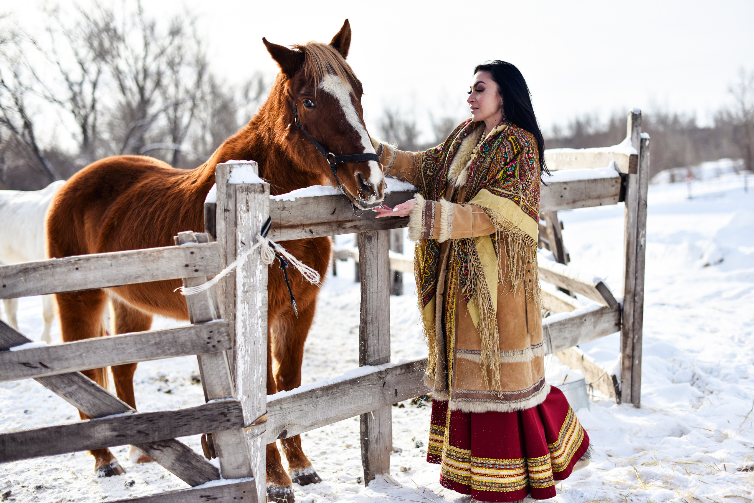 Юля и Лошадки