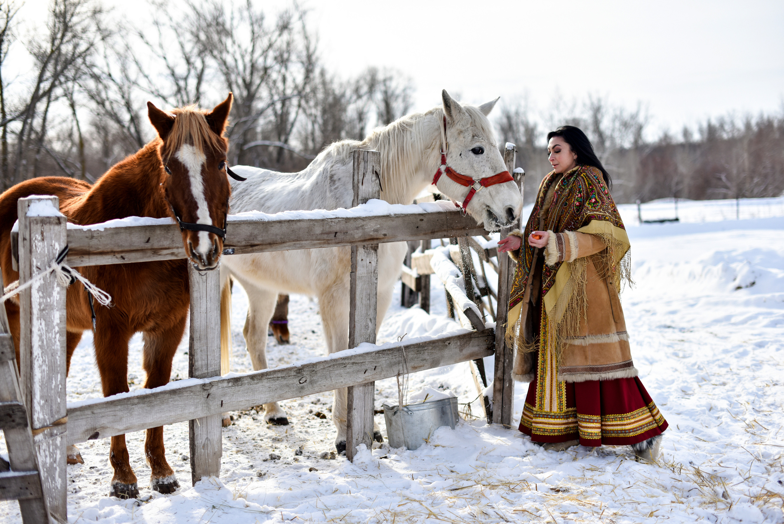 Юля и Лошадки