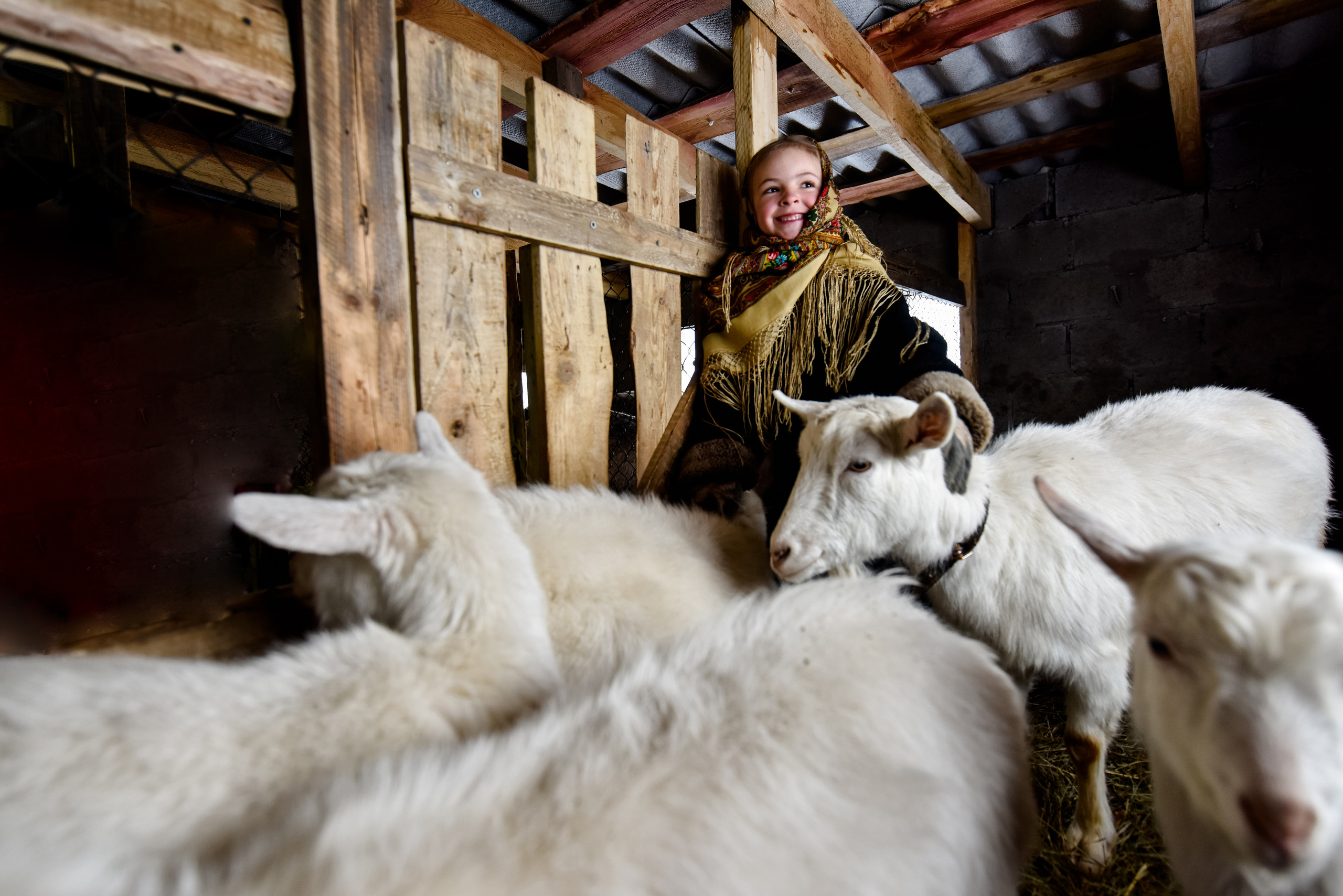 Фотосессия на природе в Самаре и Самарской области