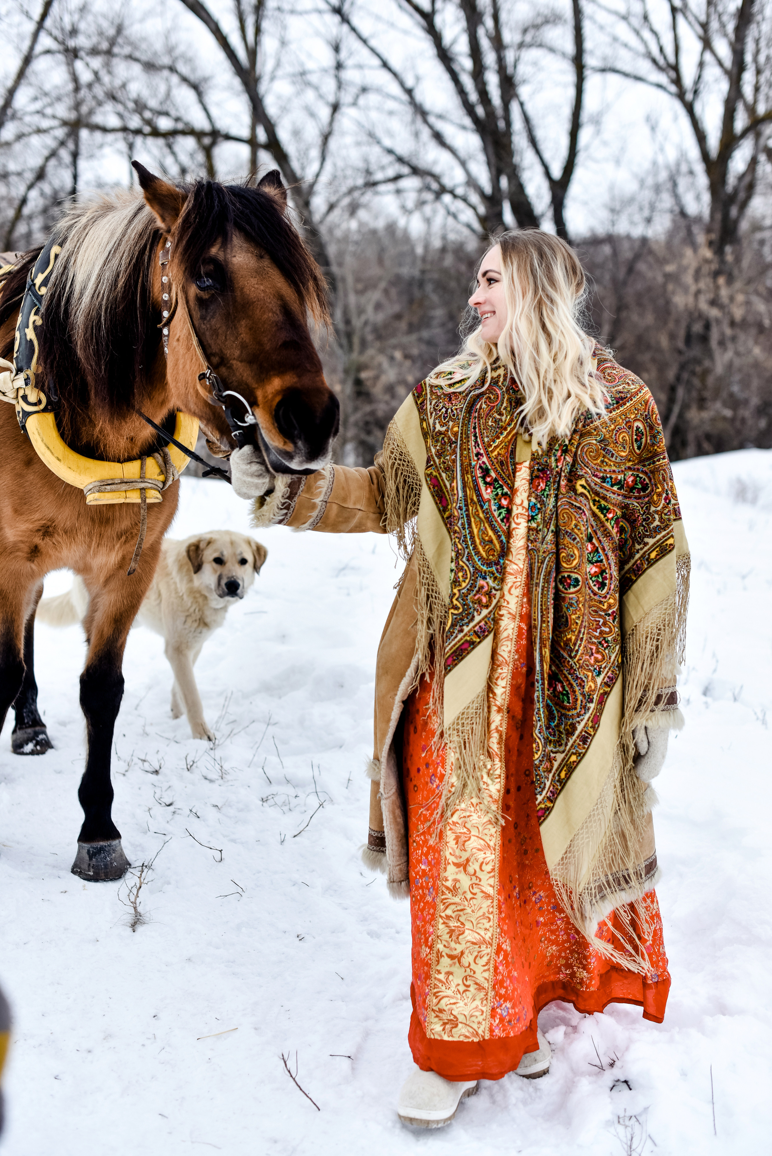 Анна и лошадки