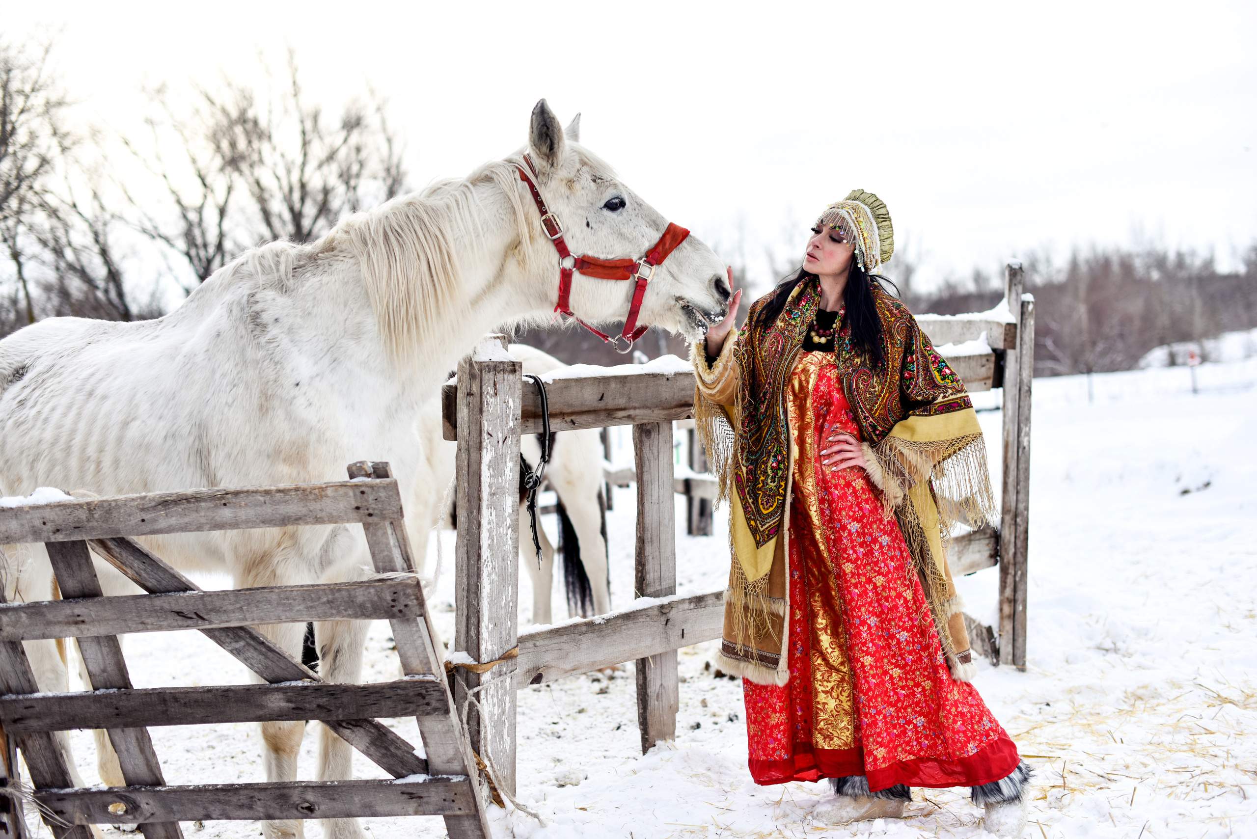 Юля и Лошадки