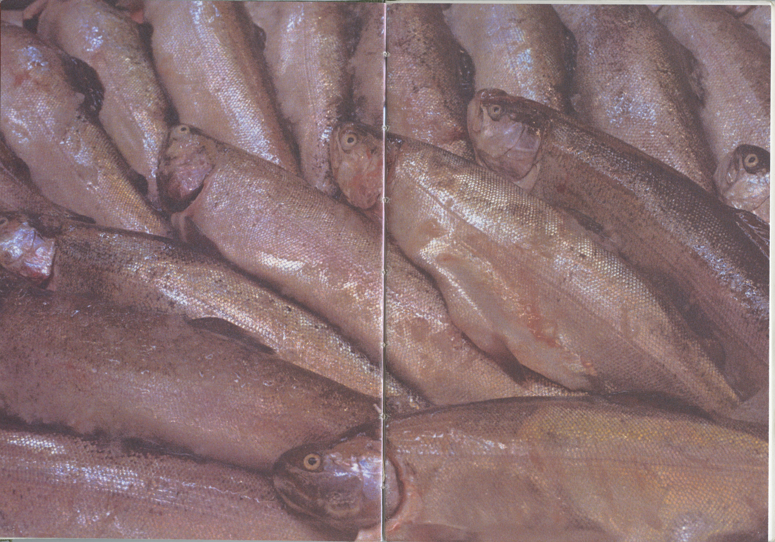 Собственное тело. Kirill Gribov