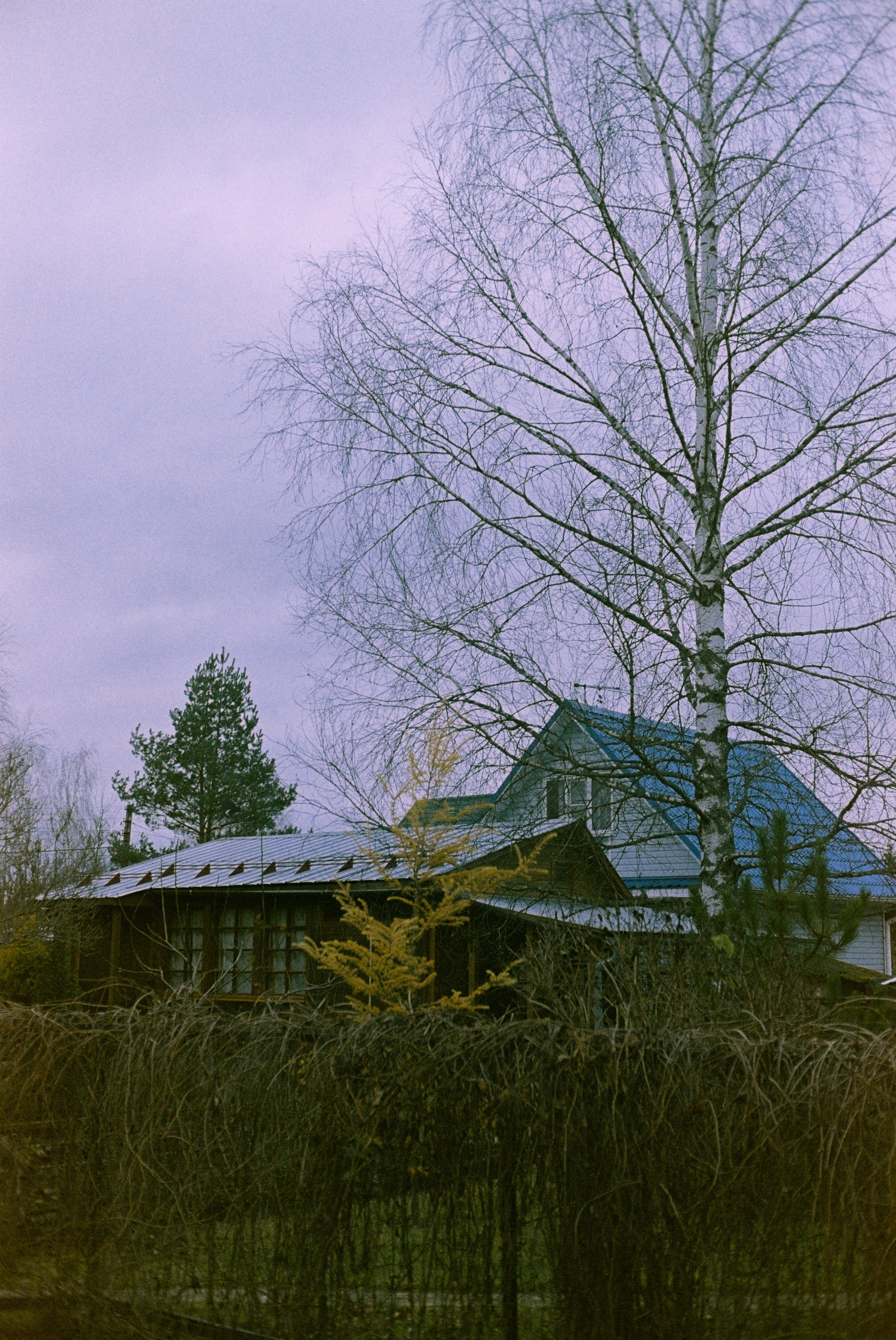 Minolta Hi-Matic 7sII / Kodak Color Plus 200 (просрочка)