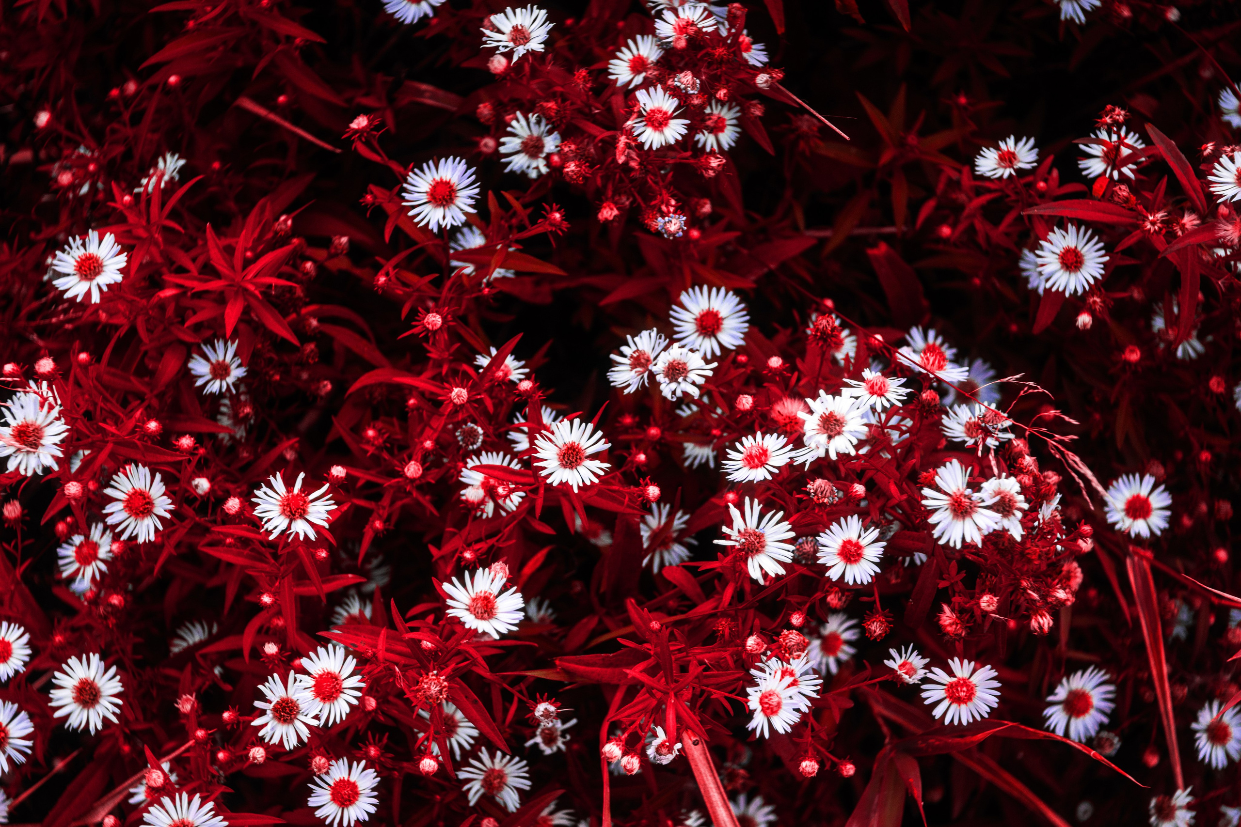 И вокруг меня. Портретный и концертный фотограф в Санкт-Петербурге Егор Телятников