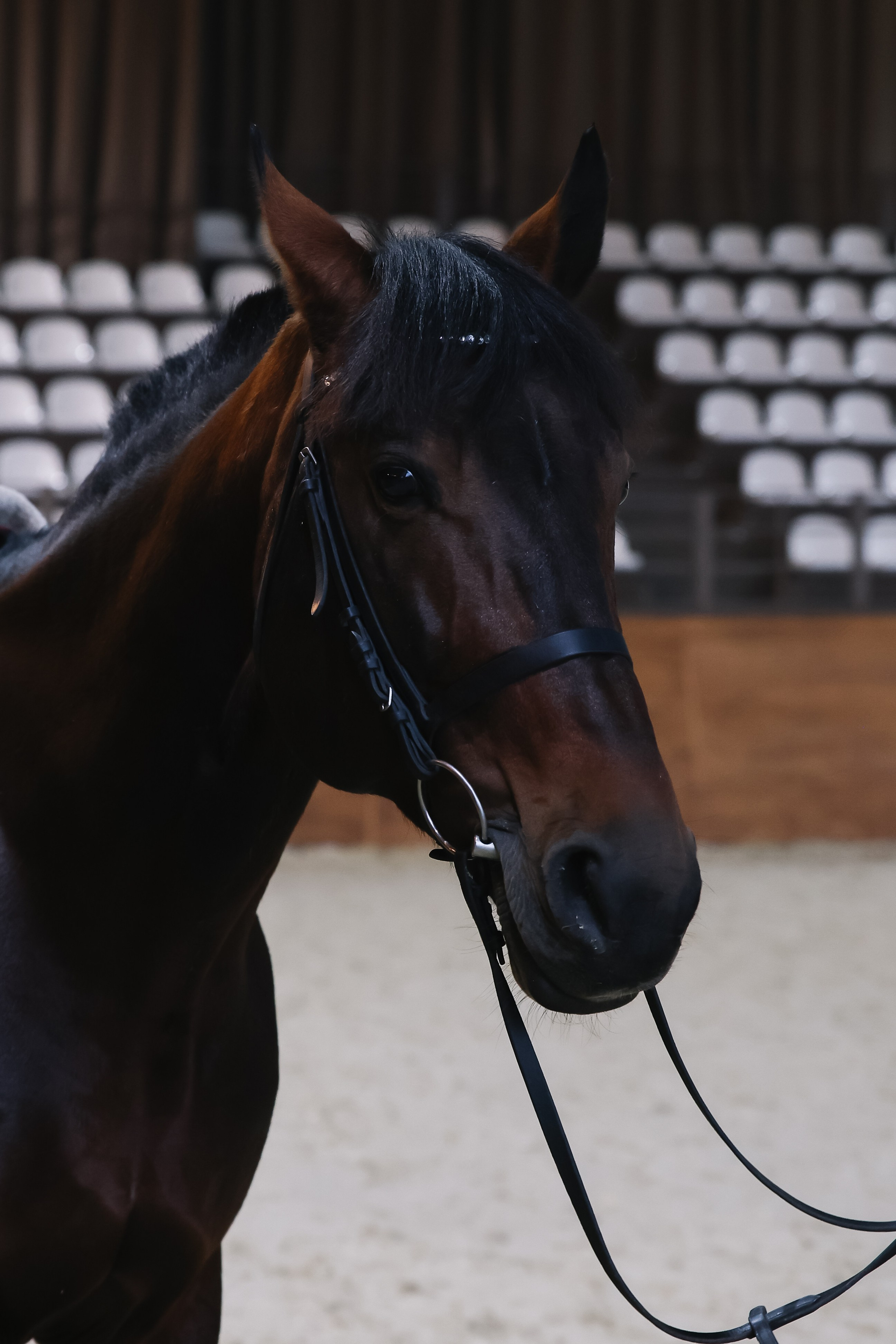 Наталия и Артем. Гермес. Свадебный фотограф в Саратове