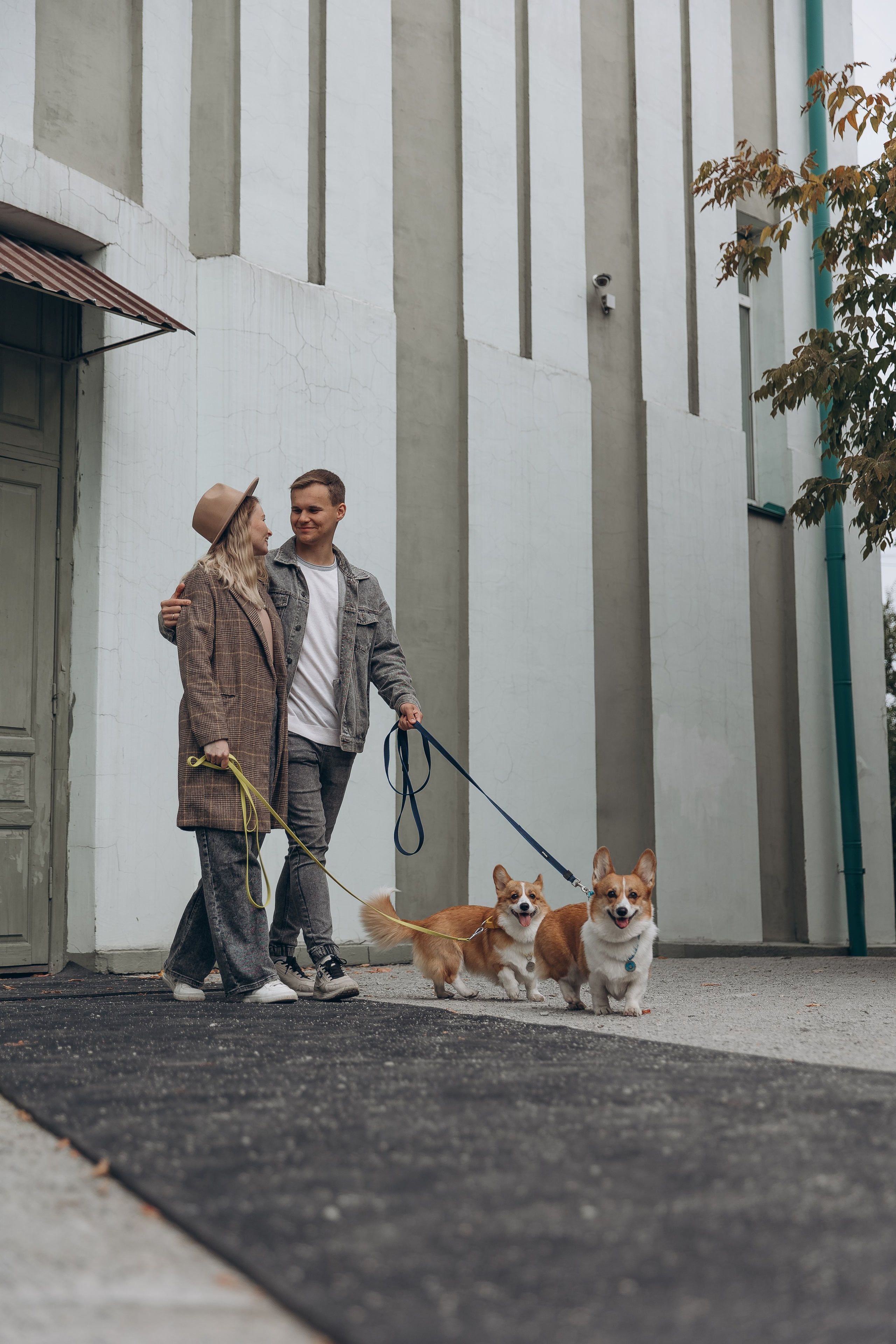 «Королевский Корги» 2. Фотограф Алина Ионычева в Новосибирске