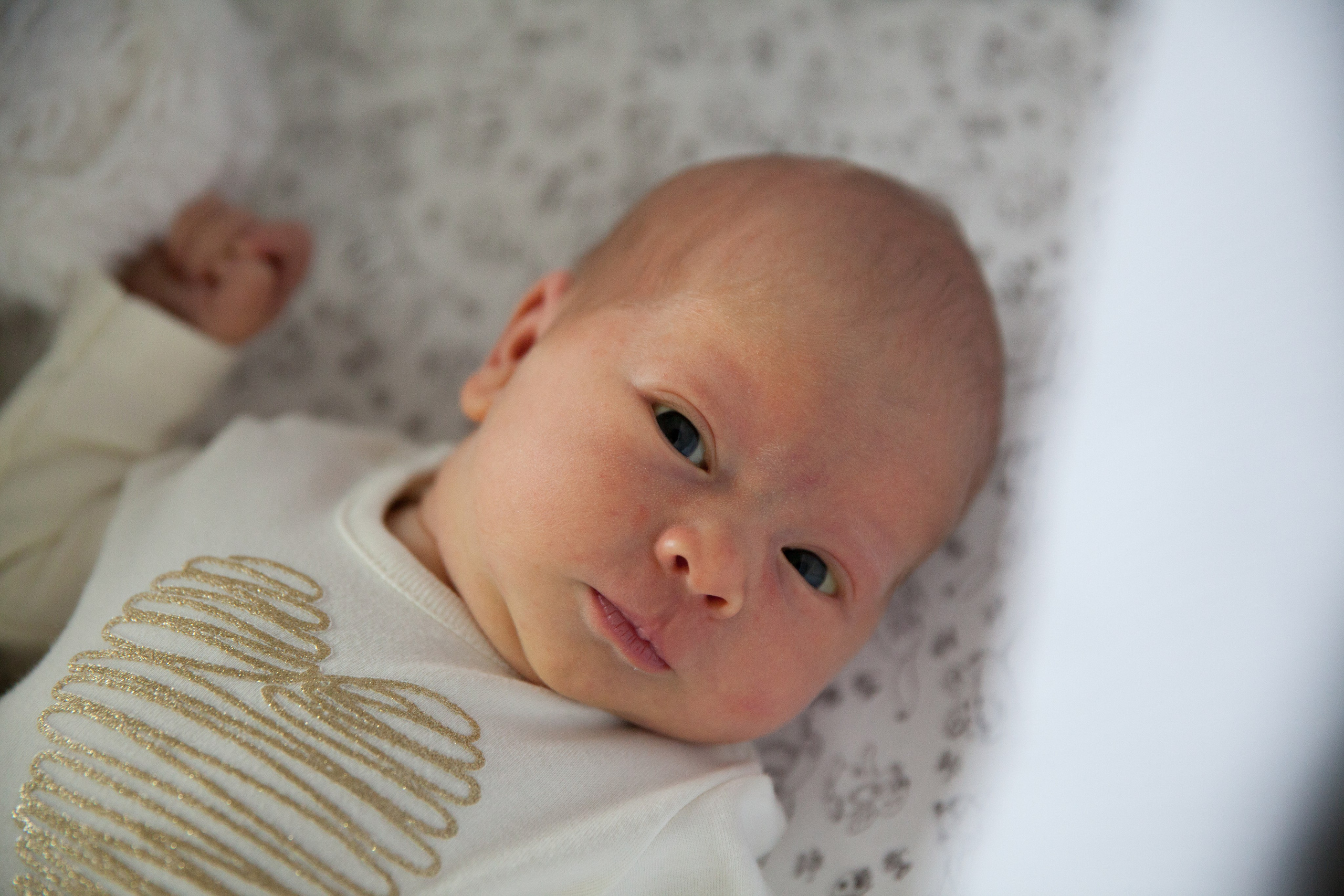 Новорожденные. Фотограф в Москве Наталья Антипина