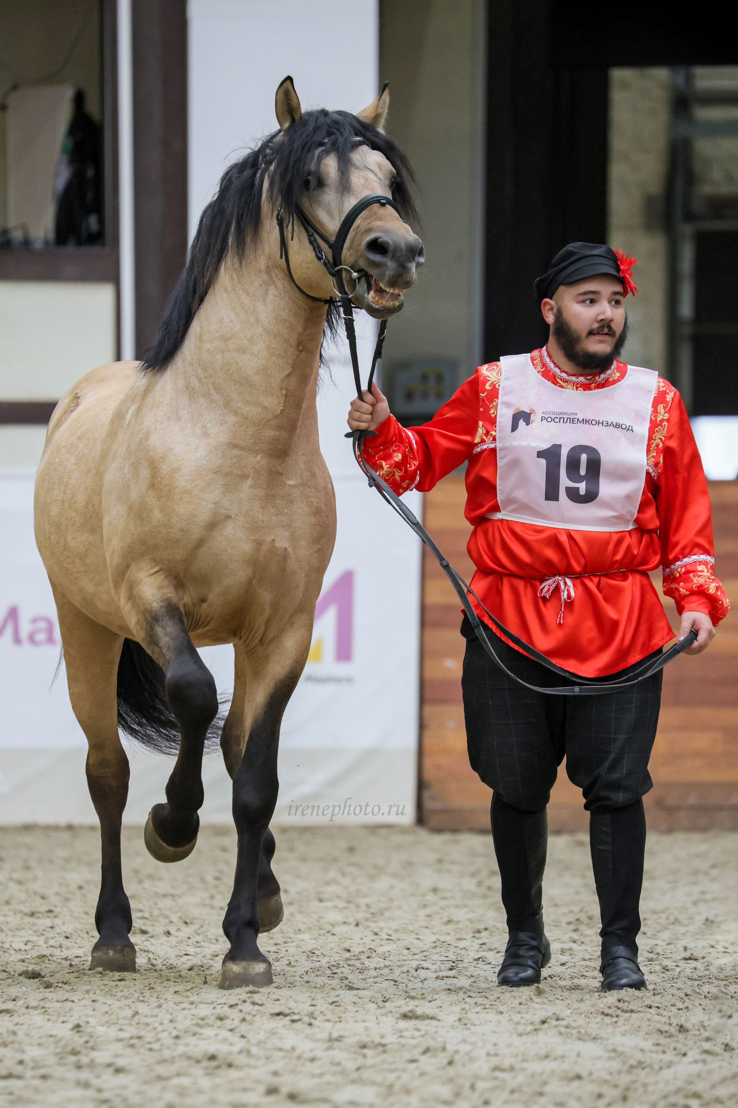 Конная Россия 2024. Irenephoto.ru