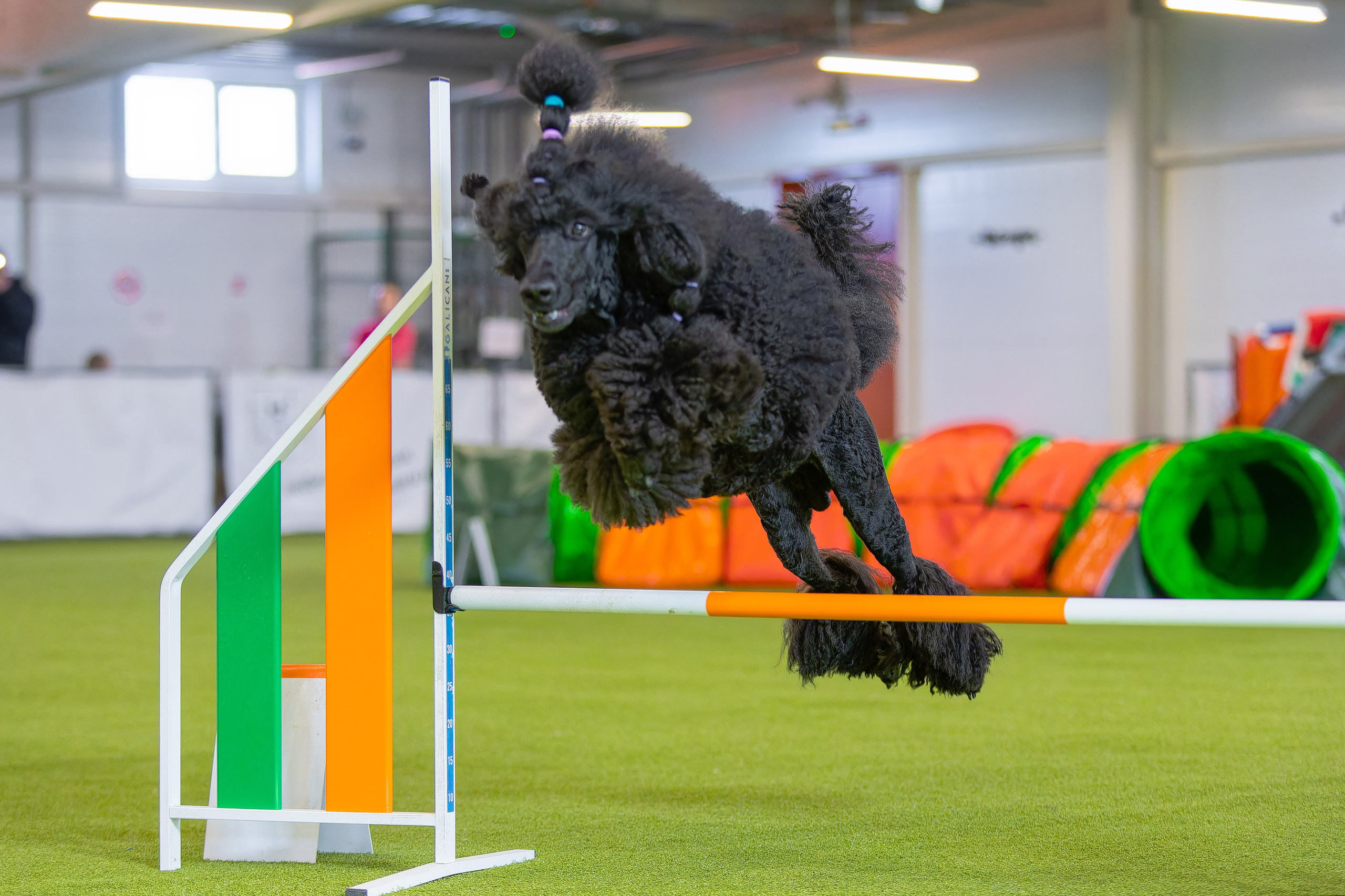 Baltic Cup 2024. Irenephoto.ru