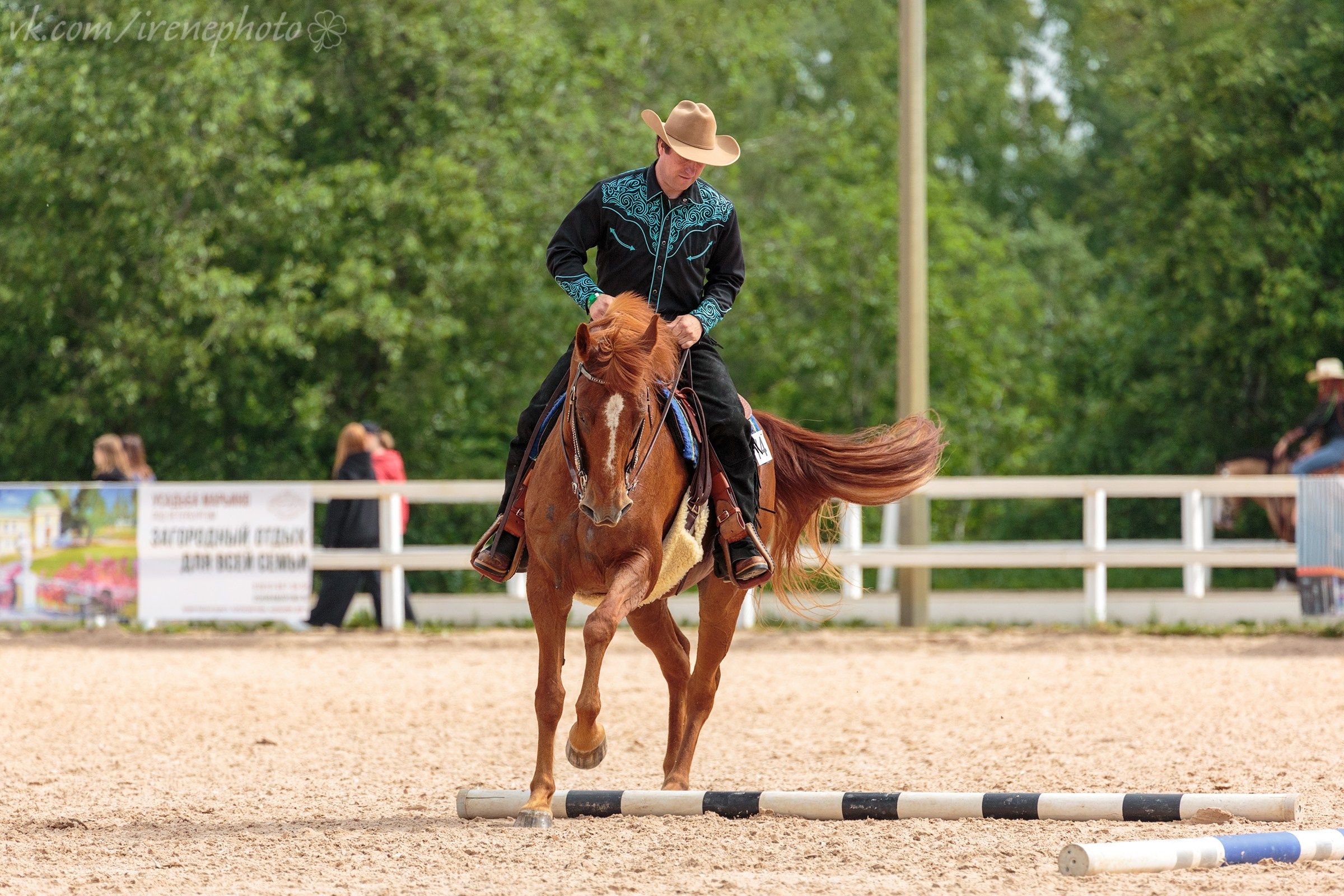 Иппосфера 2024. Irenephoto.ru