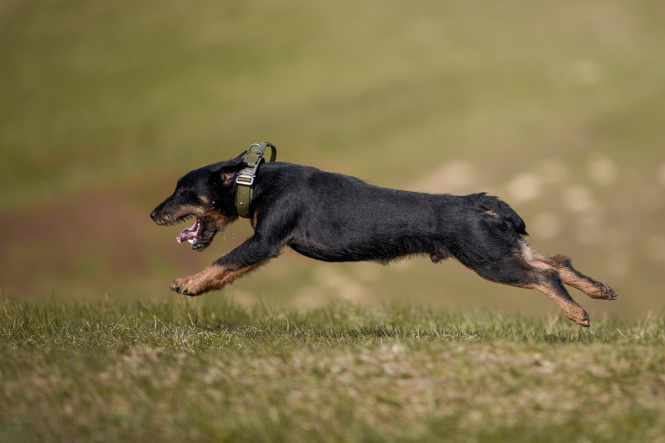 Lure Club 2025. Irenephoto.ru