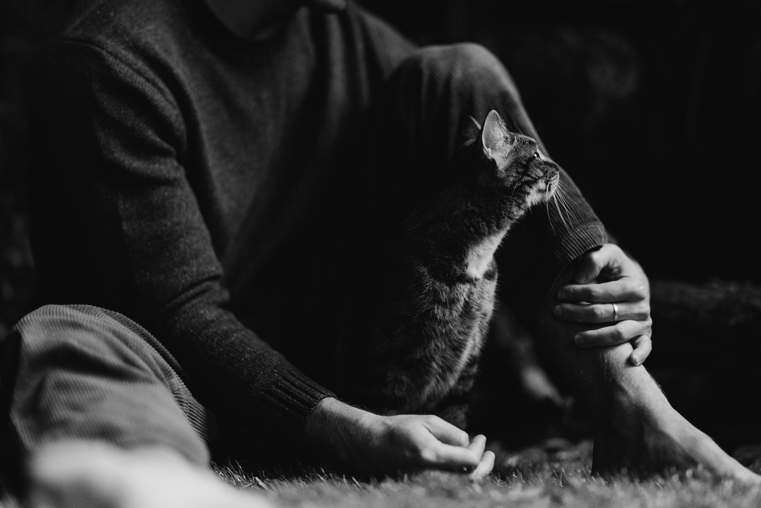 Павел и Настя. Татьяна Афонина | Фотограф