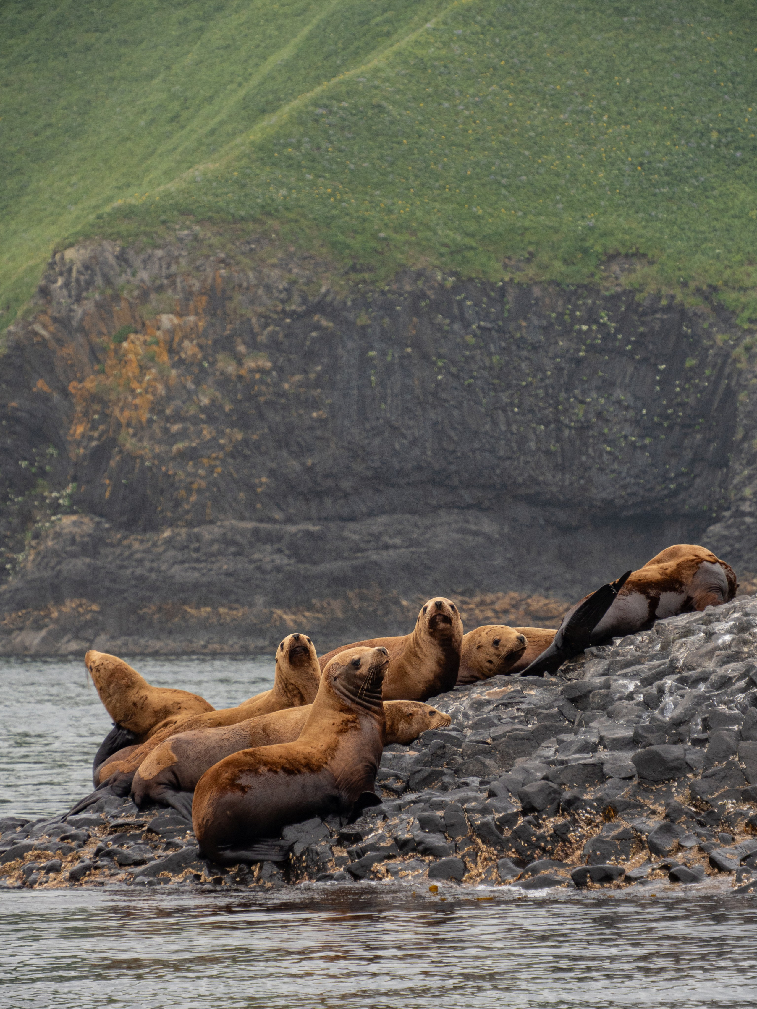 Итуруп. Фотограф Александр Головин