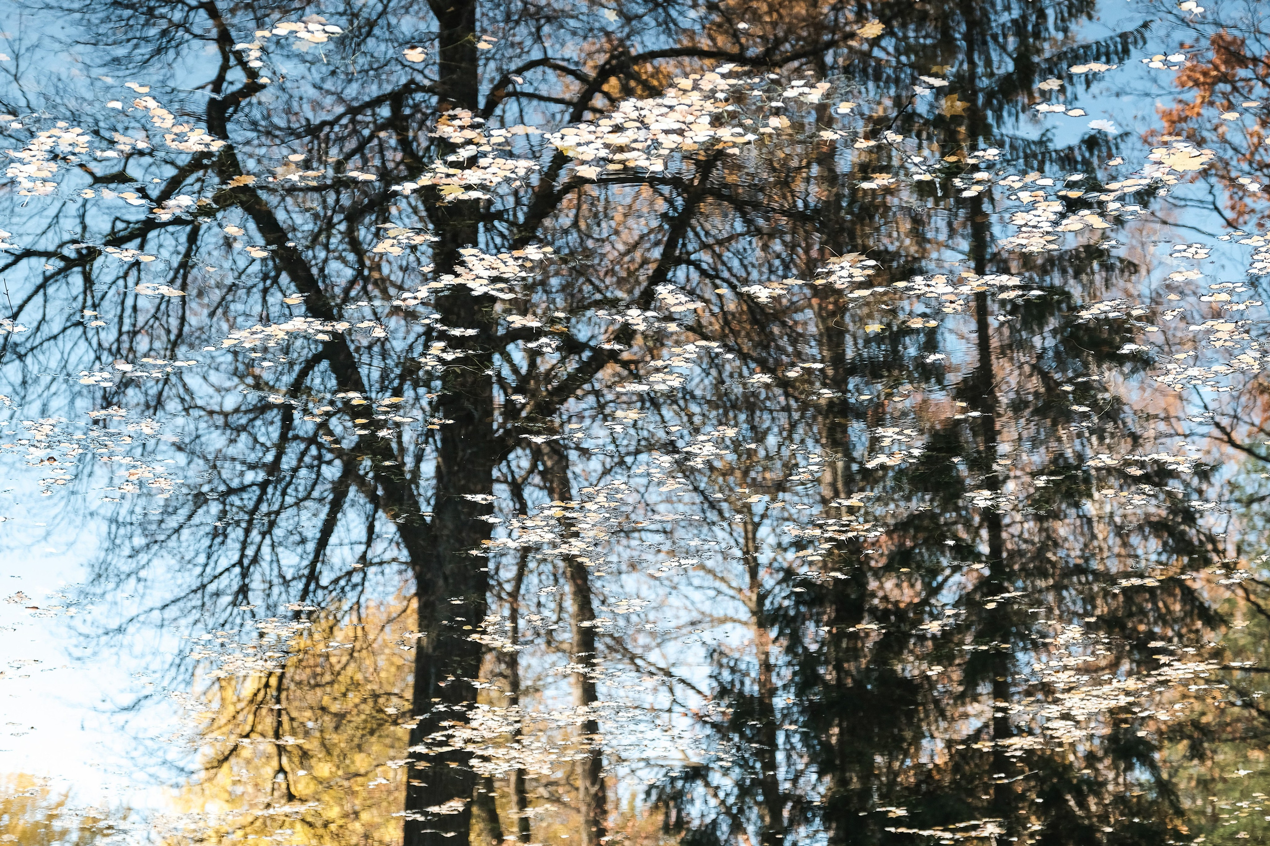 Пейзажи. Фотограф Дмитрий Алексеев