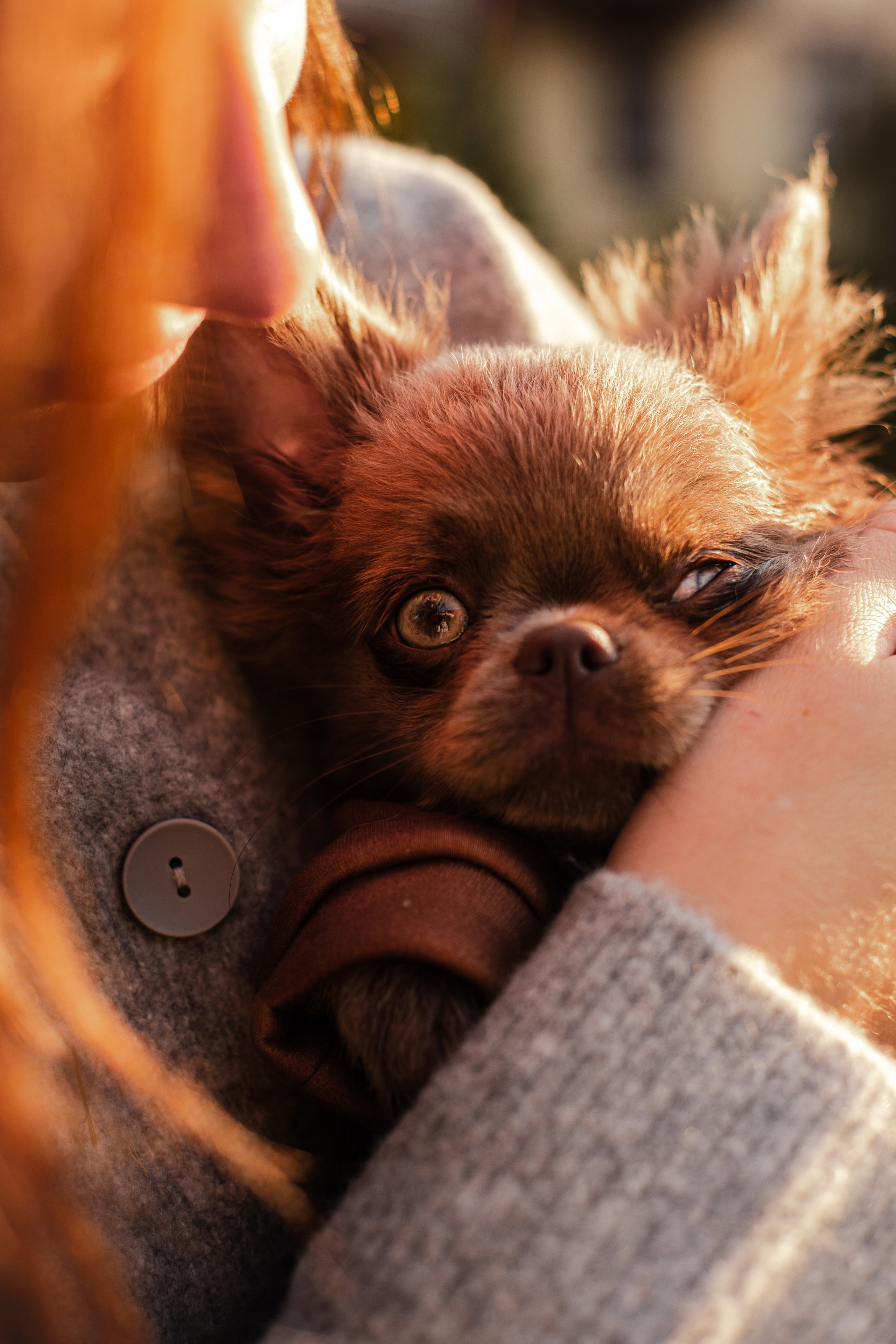 Варя и Фунтик. Фотограф-анималист Мария Баркевич | Москва