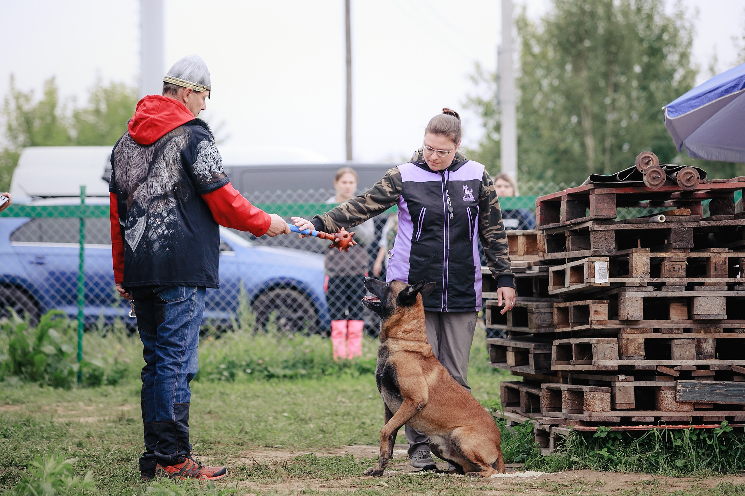 Мондьоринг М1, М2, М3, Вологда. Фотограф-анималист Mary Mart — Москва, Питер