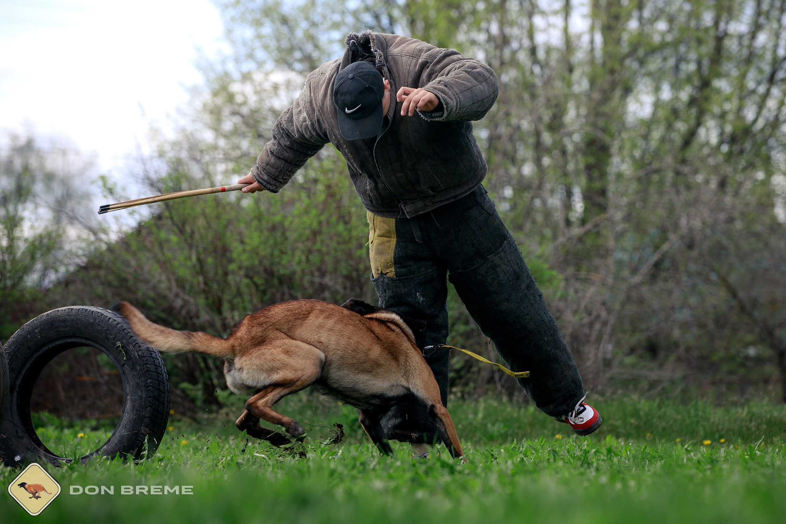 Семинар для фигурантов, день 2. Фотограф-анималист Mary Mart — Москва, Питер