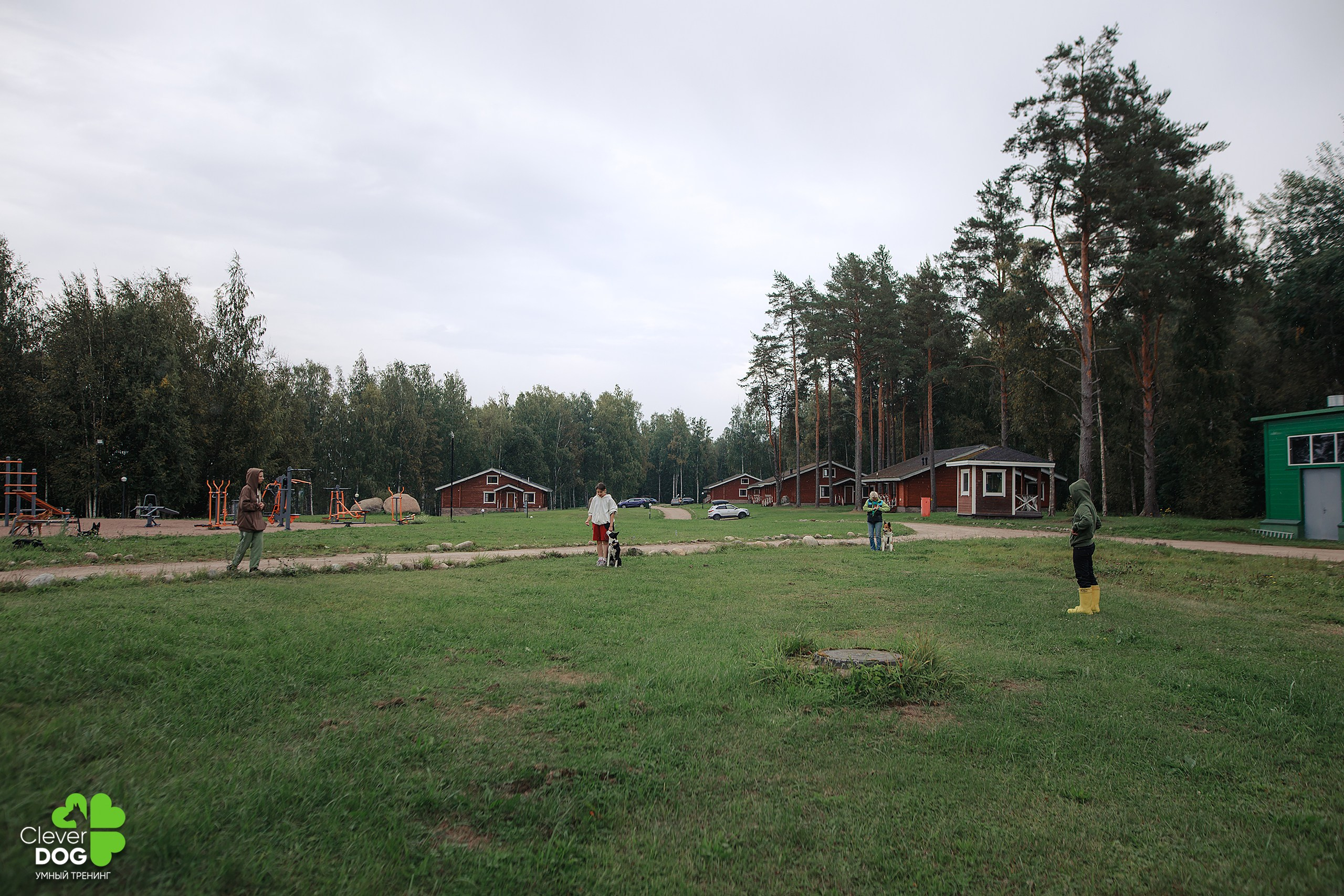Кинологический лагерь CleverDog, 2024. Фотограф-анималист Mary Mart — Москва, Питер