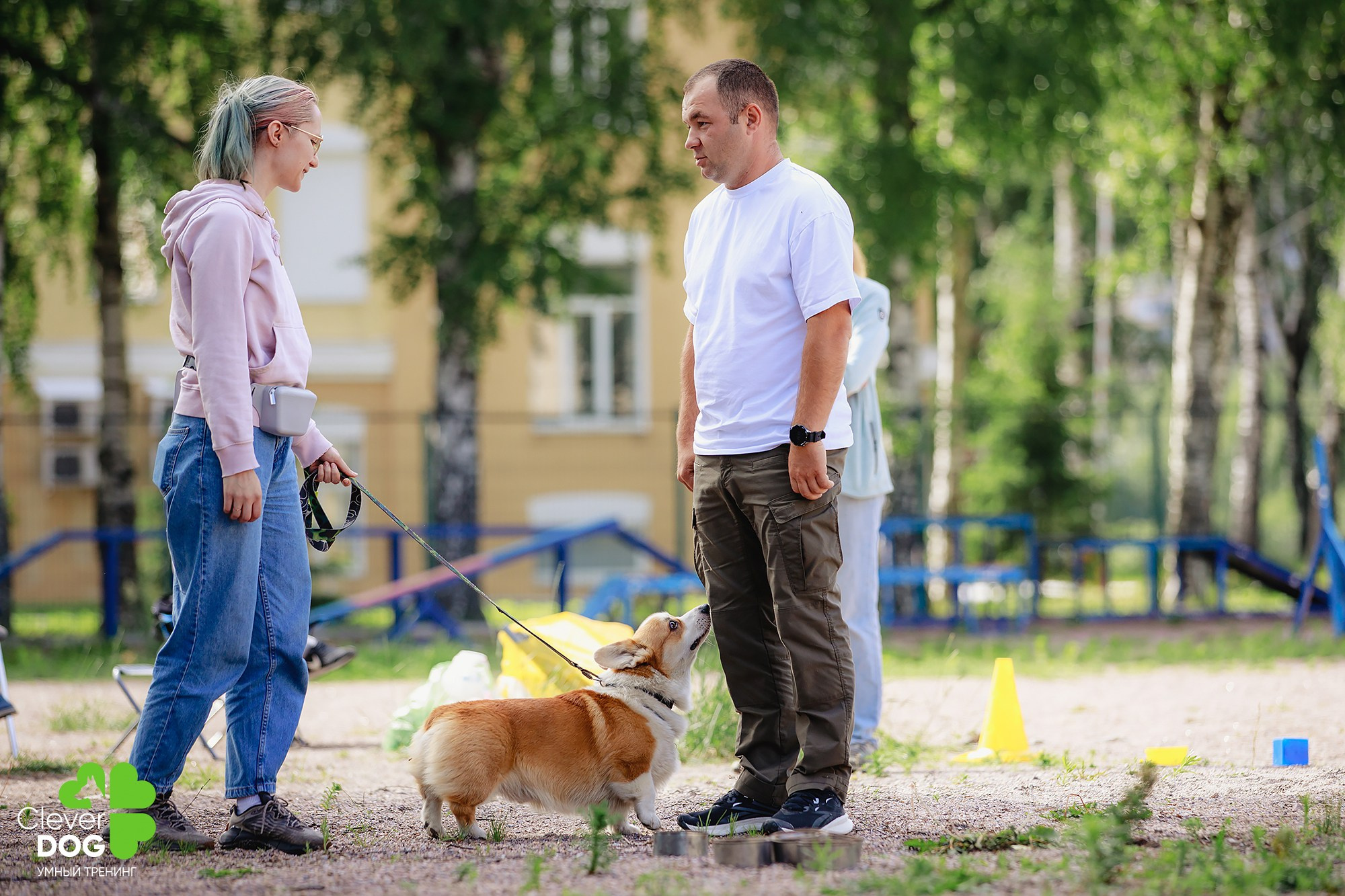 Семинар по поиску запаха с Иваном Ломовым, организатор CleverDog, СПб. Фотограф-анималист Mary Mart — Москва, Питер