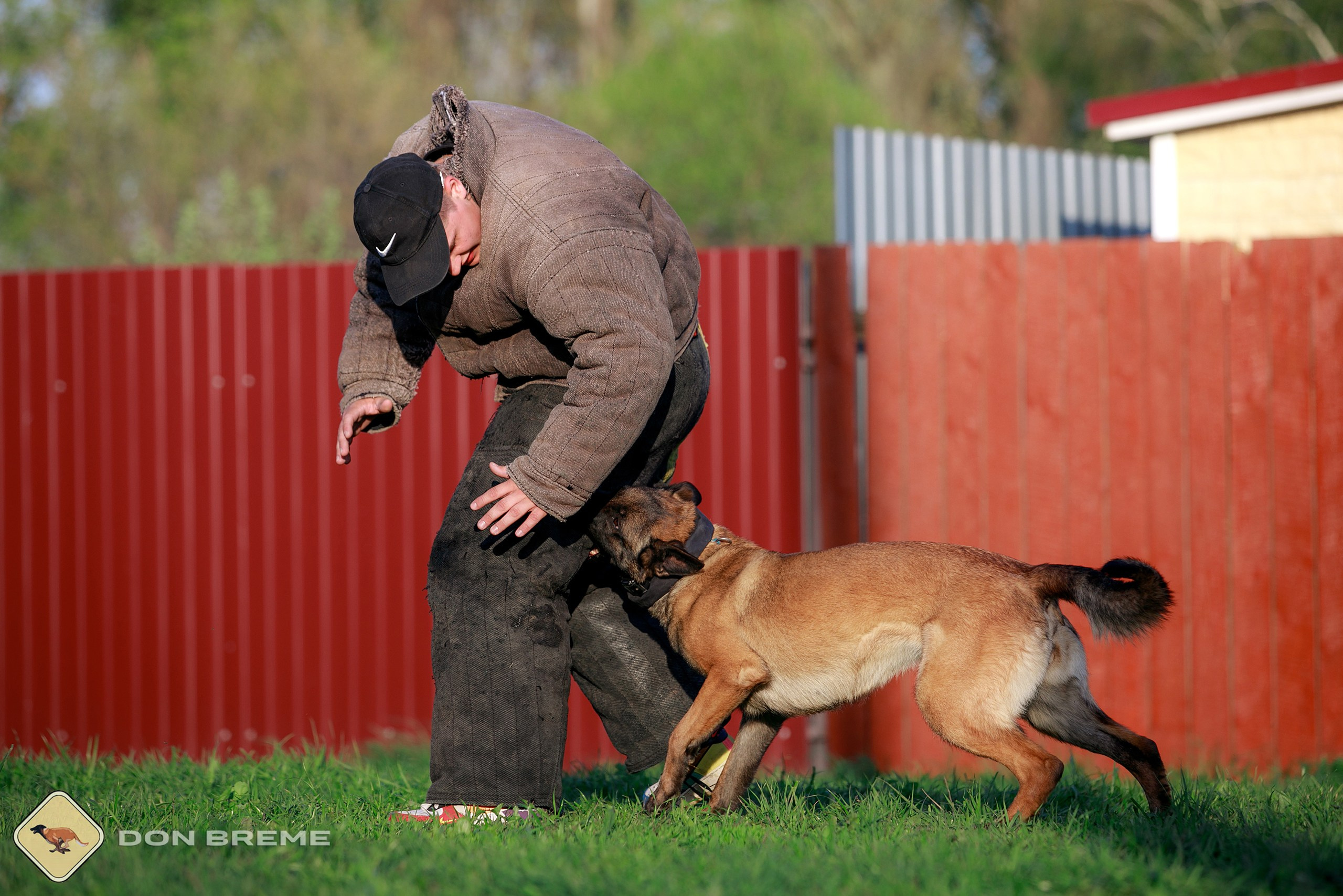 Семинар для фигурантов, день 4. Фотограф-анималист Mary Mart — Москва, Питер